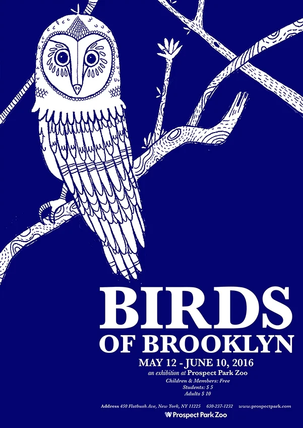 Birds of Brooklyn