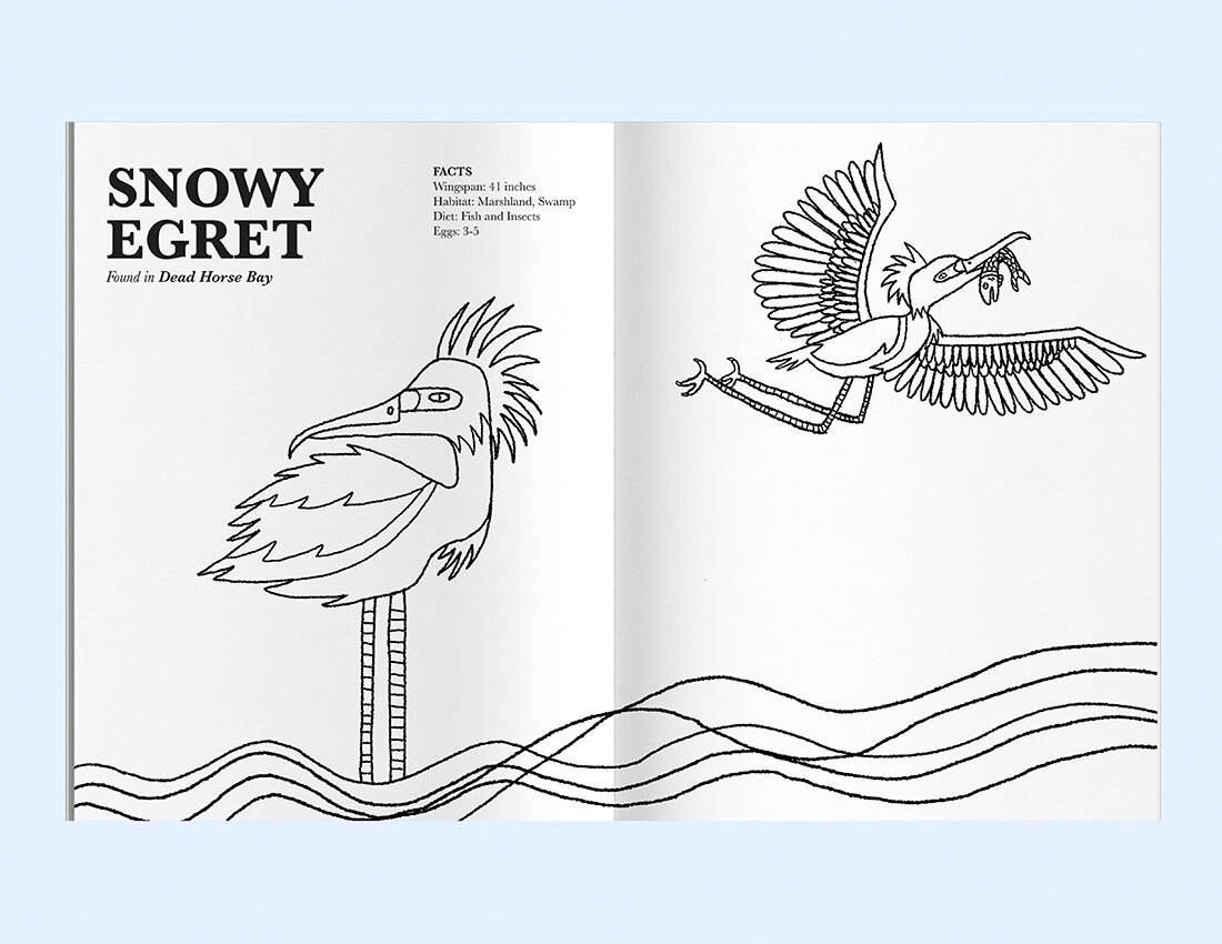 Birds of Brooklyn