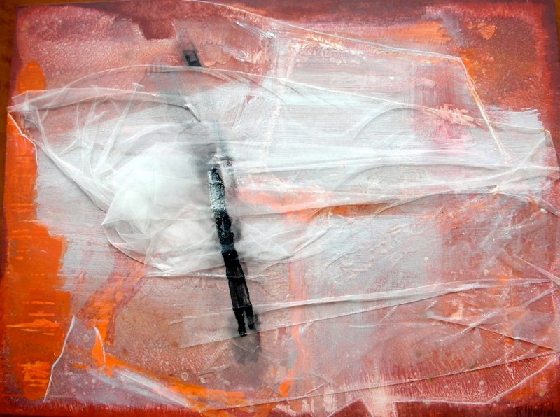  Appearance, 2010 40 x 30 inches Acrylic, oil, tulle, glue on canvas 