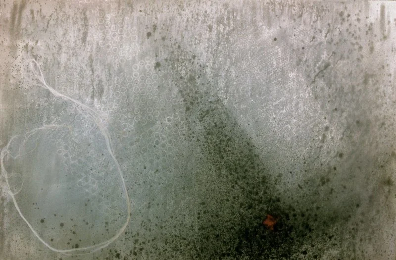 Incidental, 2011 48 x 72 inches