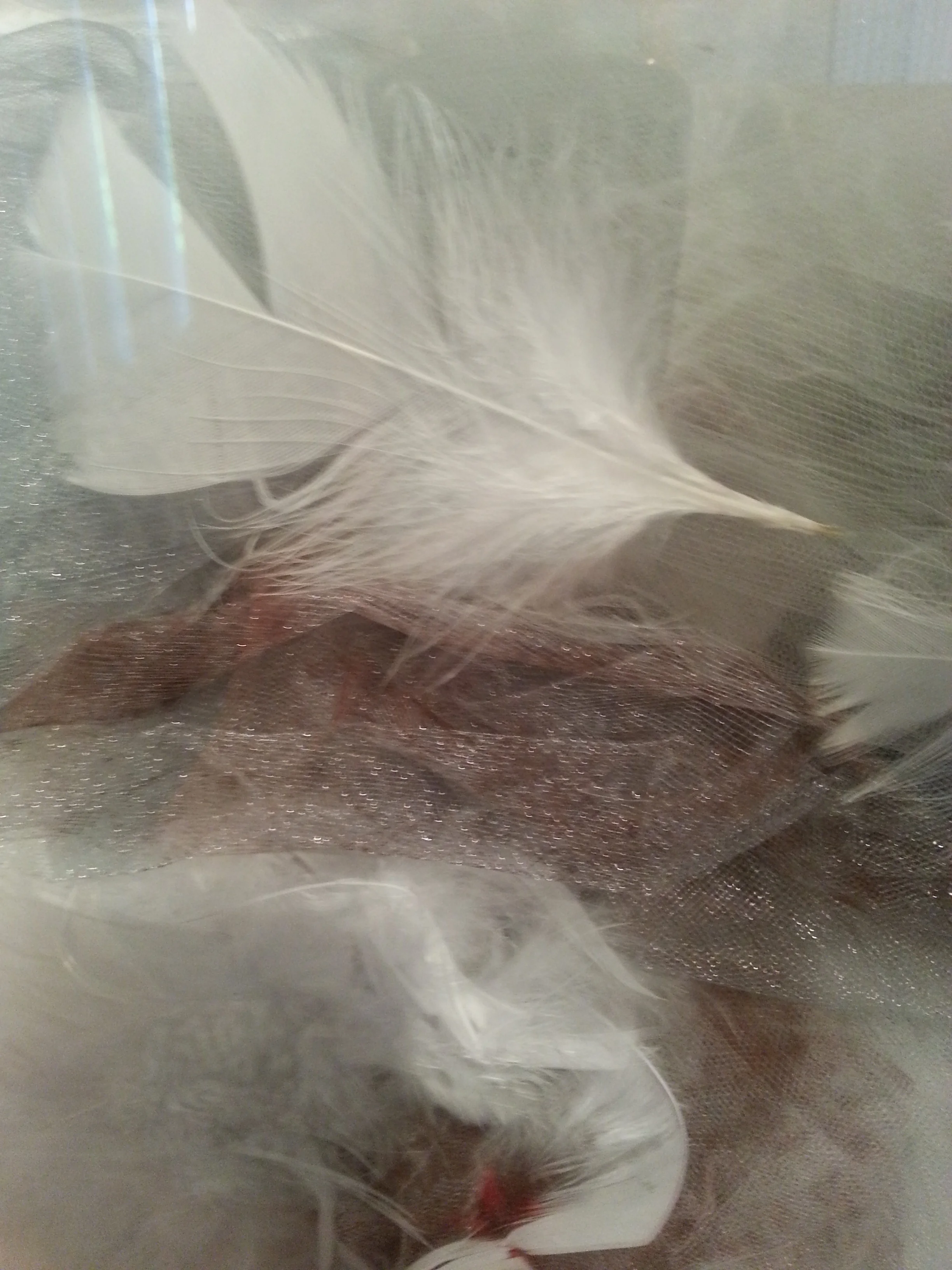 The Structure of Memory 2009-2014 Installation Detail