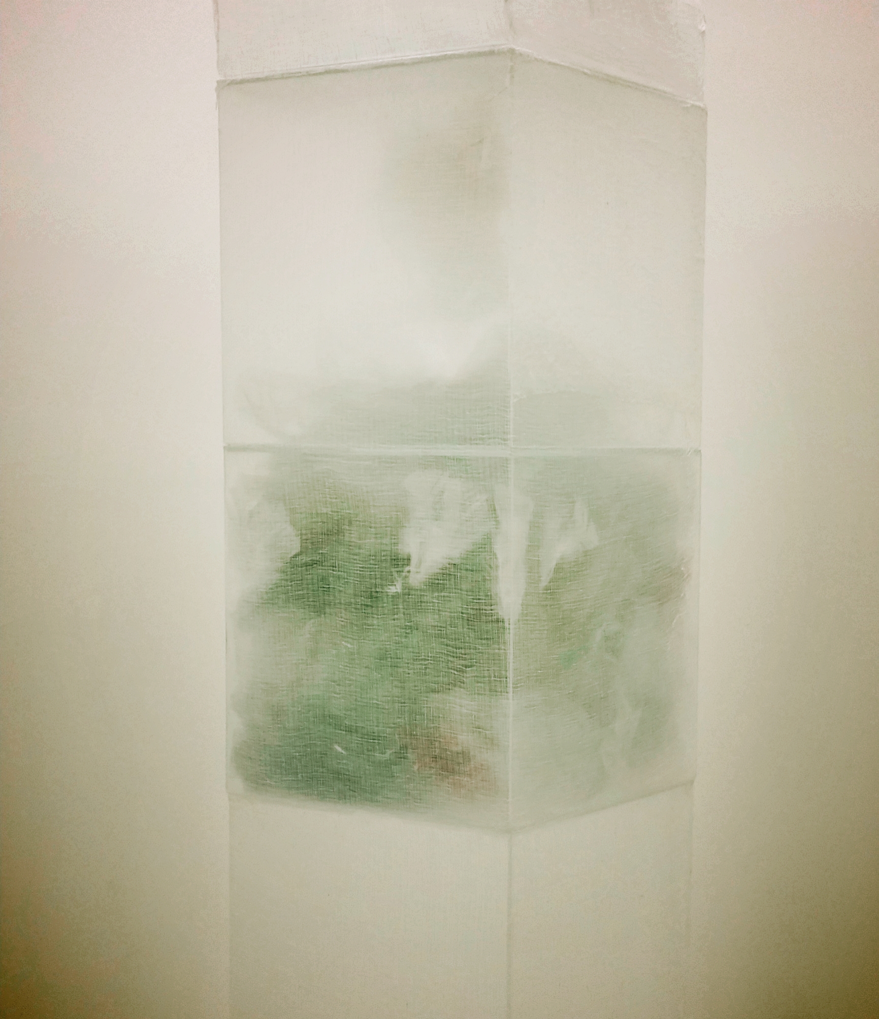  The Palace,&nbsp;2016 - detail 65 x 12 x 12 inches Acrylic cubes containing gauze, plastic and fragile materials 