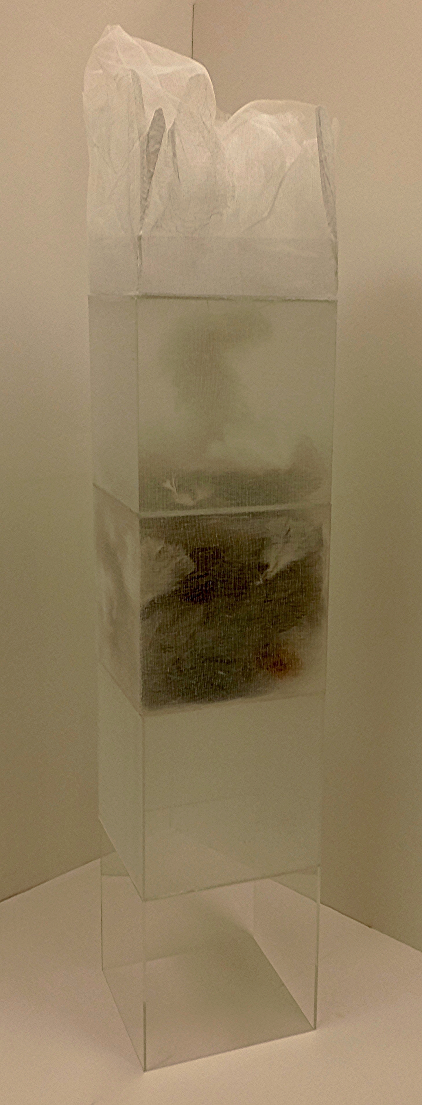  The Palace,&nbsp;2016 65  x 12 x 12 inches Acrylic cubes containing gauze, plastic and fragile materials 