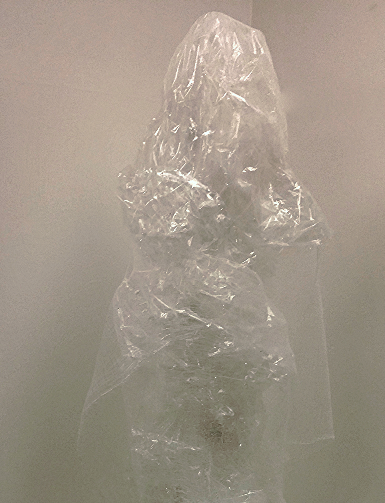  The King, 2016 - head detail 80 x 20 x 18 inches Plastic film, gauze, tulle, nylon thread,&nbsp;white glue on a plexiglass tube support 