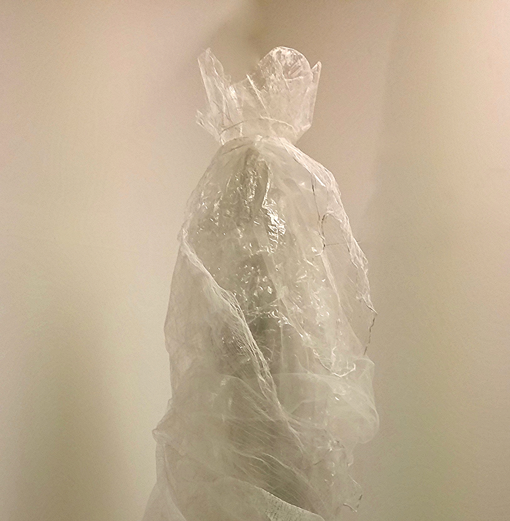  The Queen, 2016 - head detail 84 X 28 x 26 inches Plastic film, gauze, tulle, nylon thread,&nbsp;white glue on a plexiglass tube support 