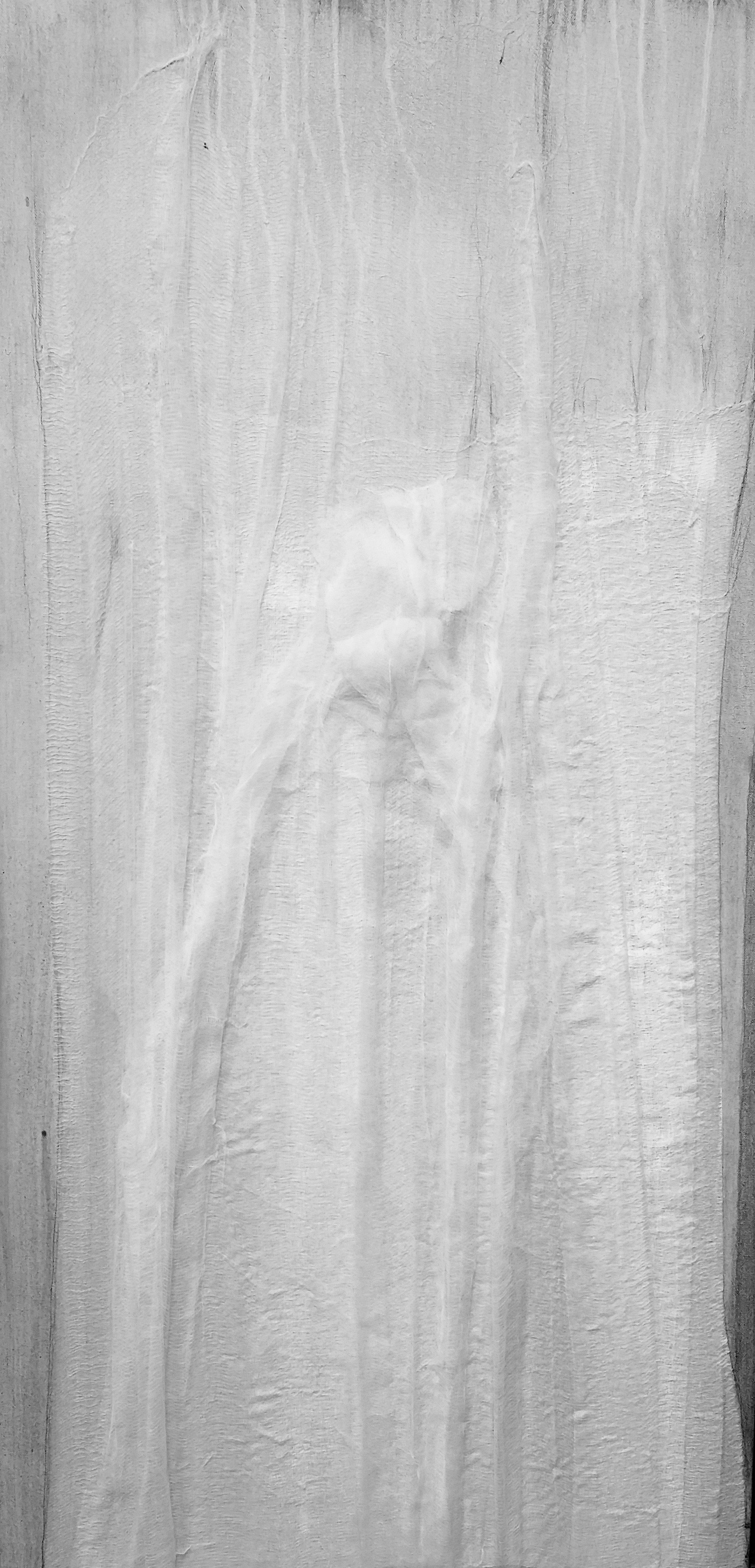 Weightlessness 17, 2015 48 x 24 inches
