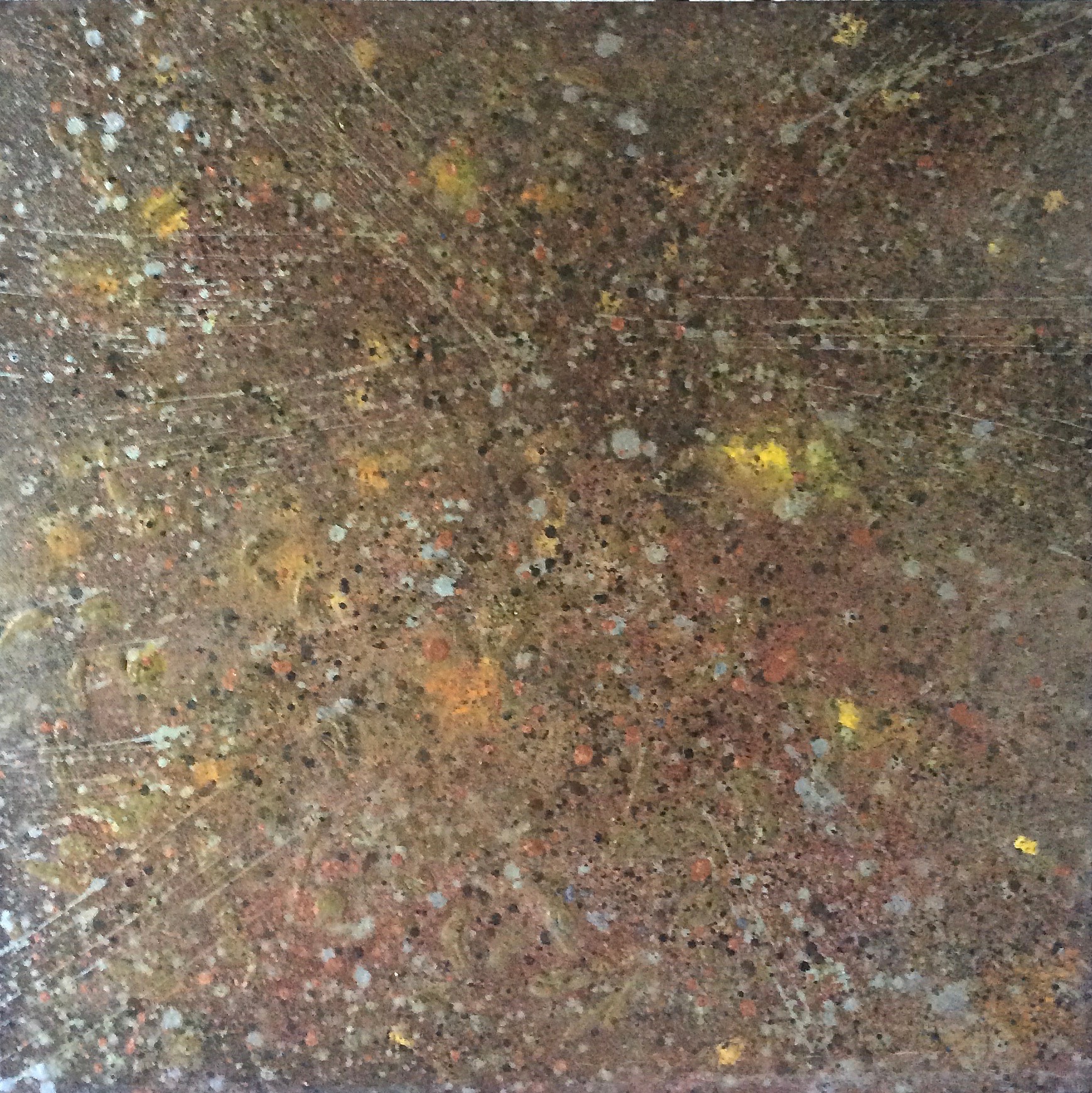  Earth, 2014  24 x 24 inches  Acrylic on canvas 