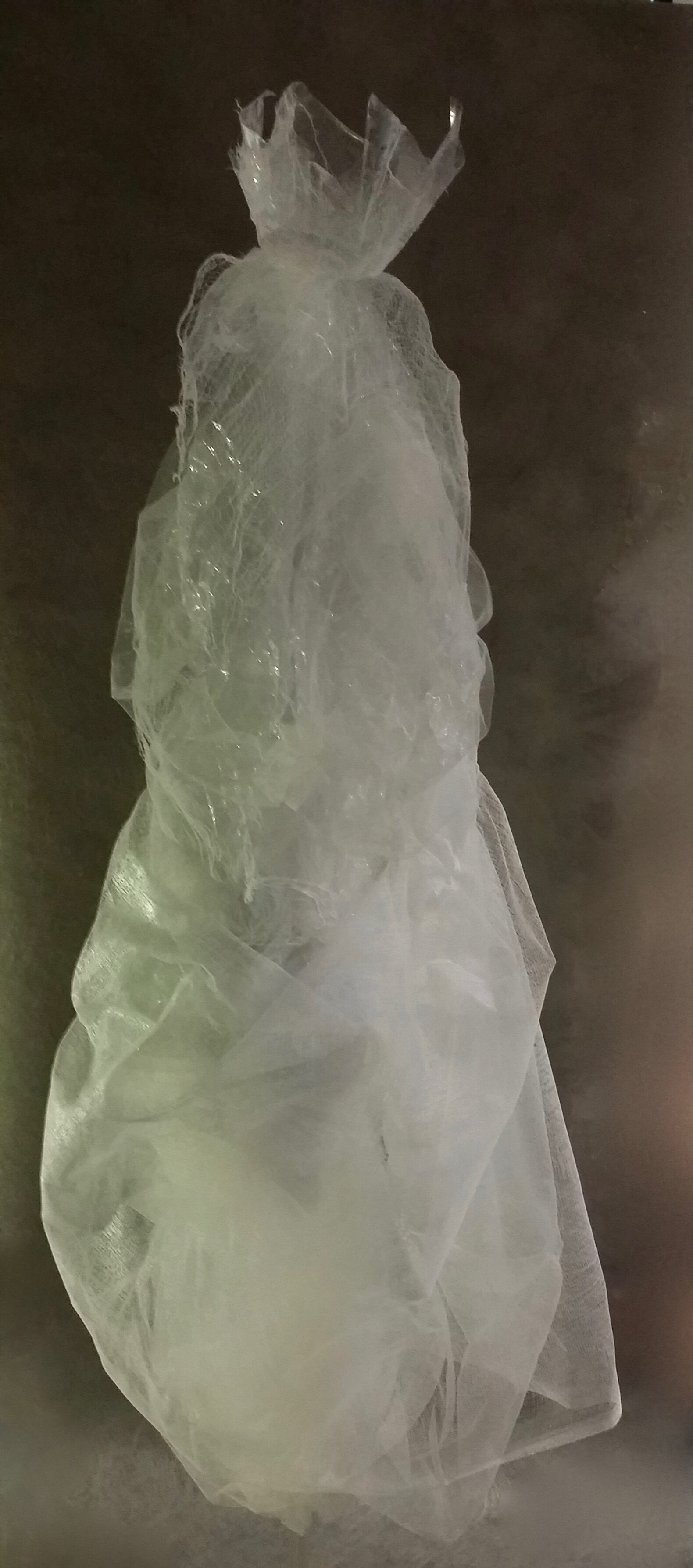  The Queen, 2016 -left side view 84 X 28 x 26 inches Plastic film, gauze, tulle, nylon thread,&nbsp;white glue on a plexiglass tube support 