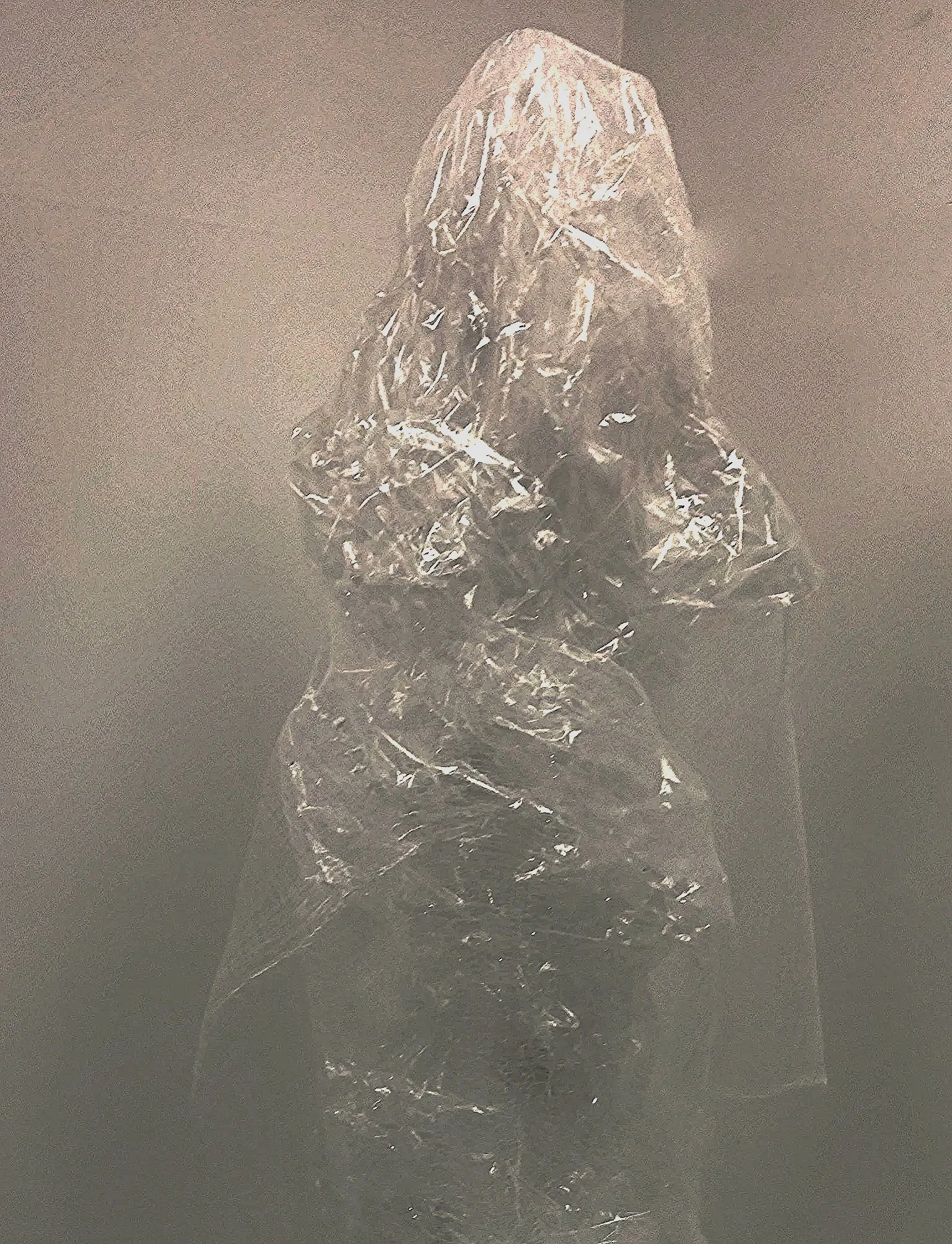 The King Bust, 2016 - detail