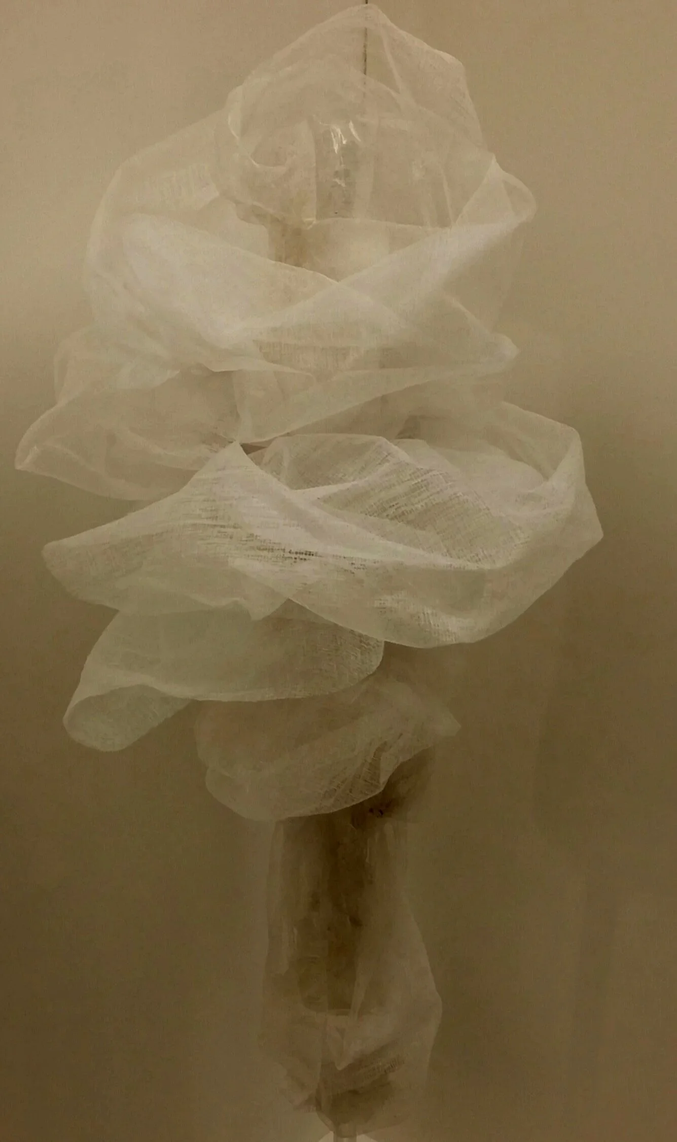 The Rose Garden, 2016 - rose detail