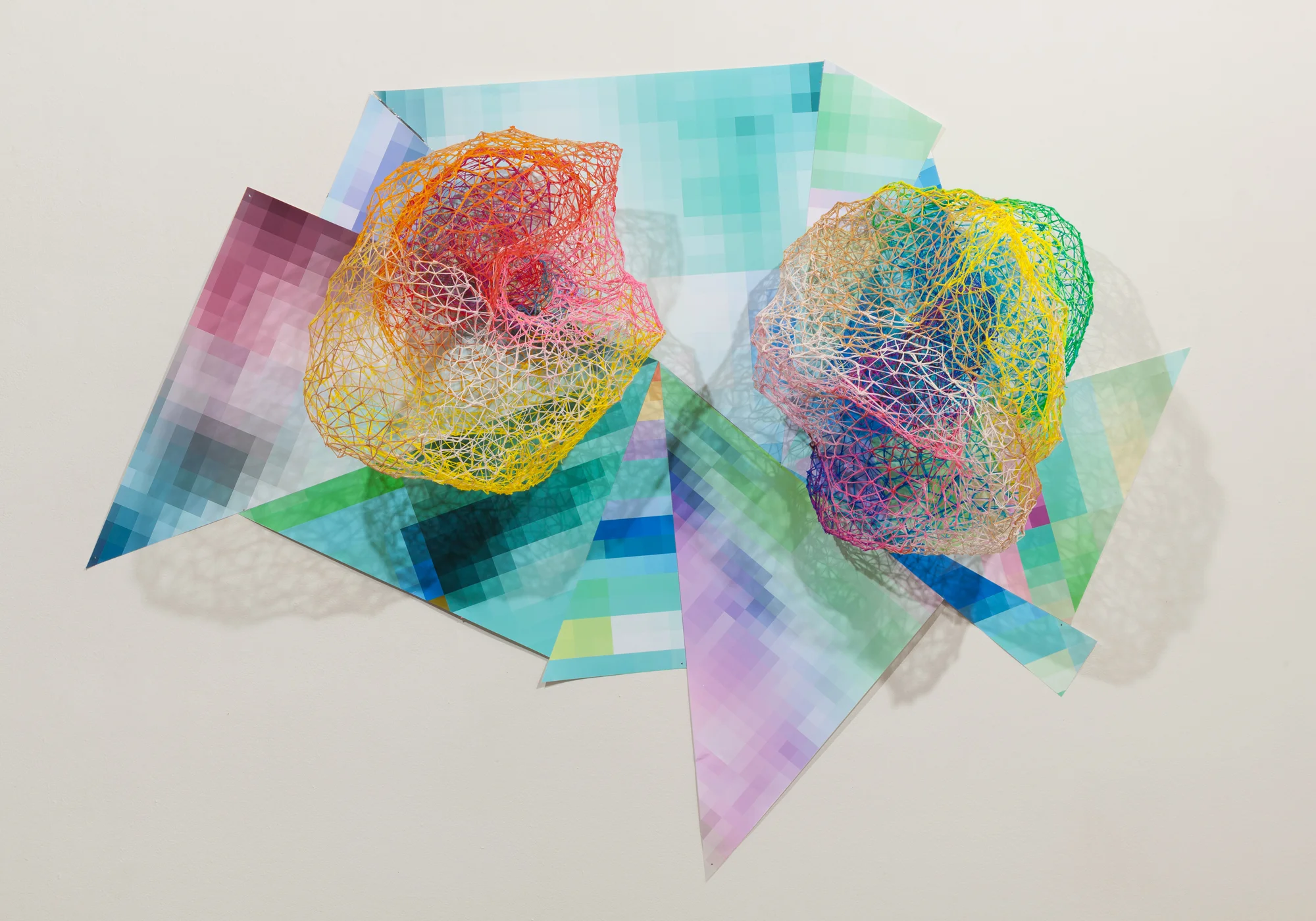 ‘Invasives #1 & #2’ 2017 61"x42"x28" 3D pen-formed ABS Filament, Digital Collage, Photo Wes Magyar.