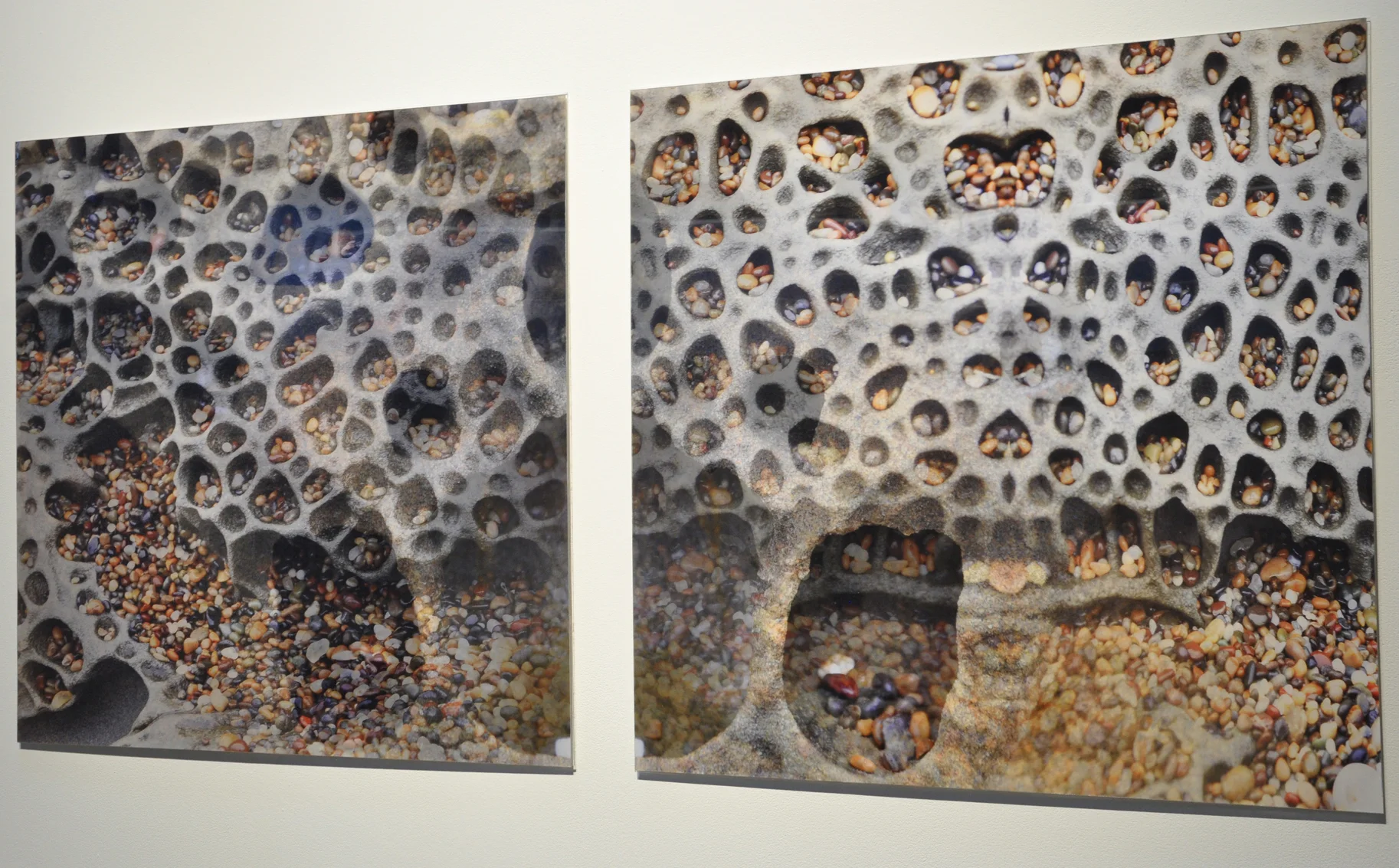 ‘Fuzzy Terrain’ 2015