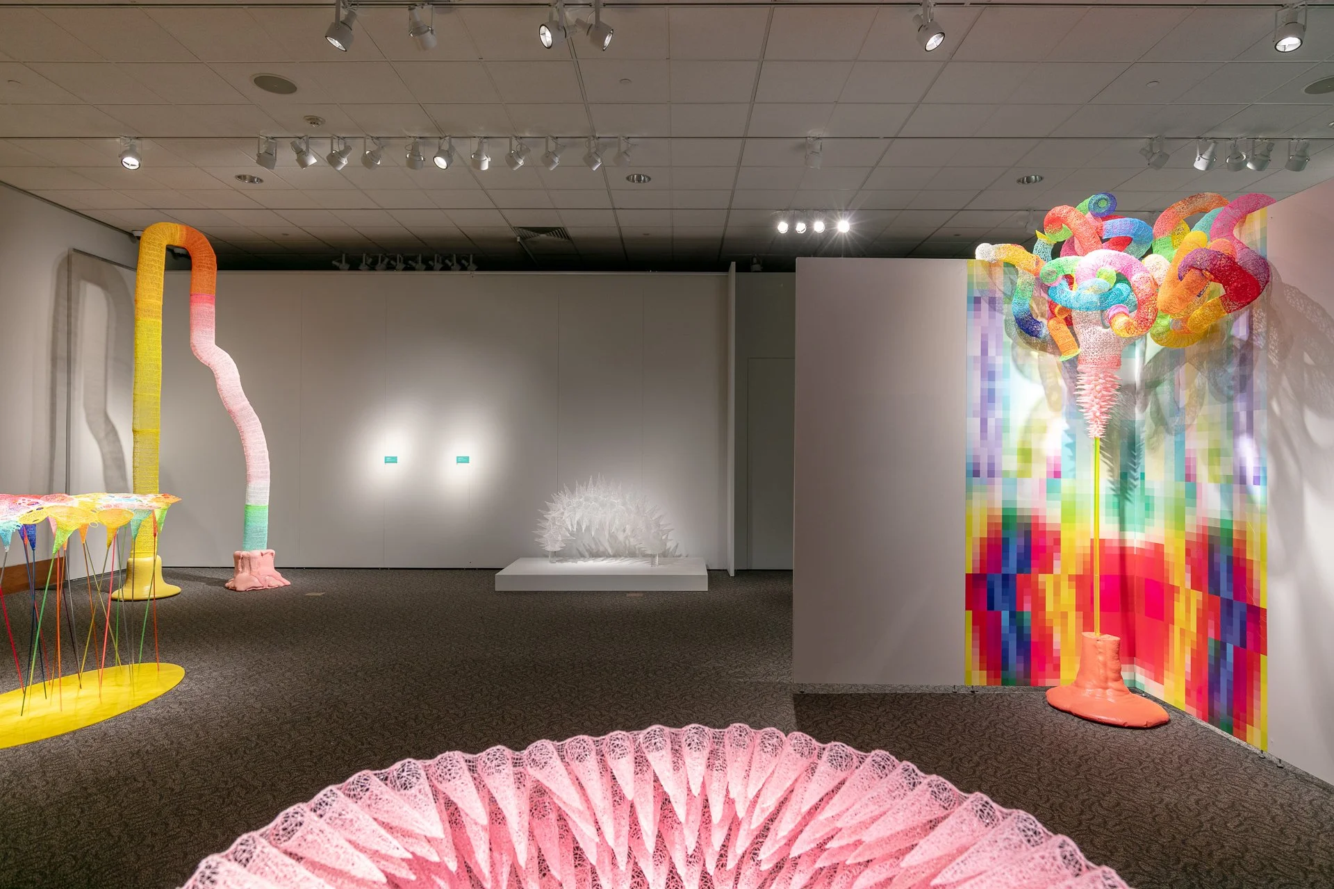 LittletonGallery2024.jpg