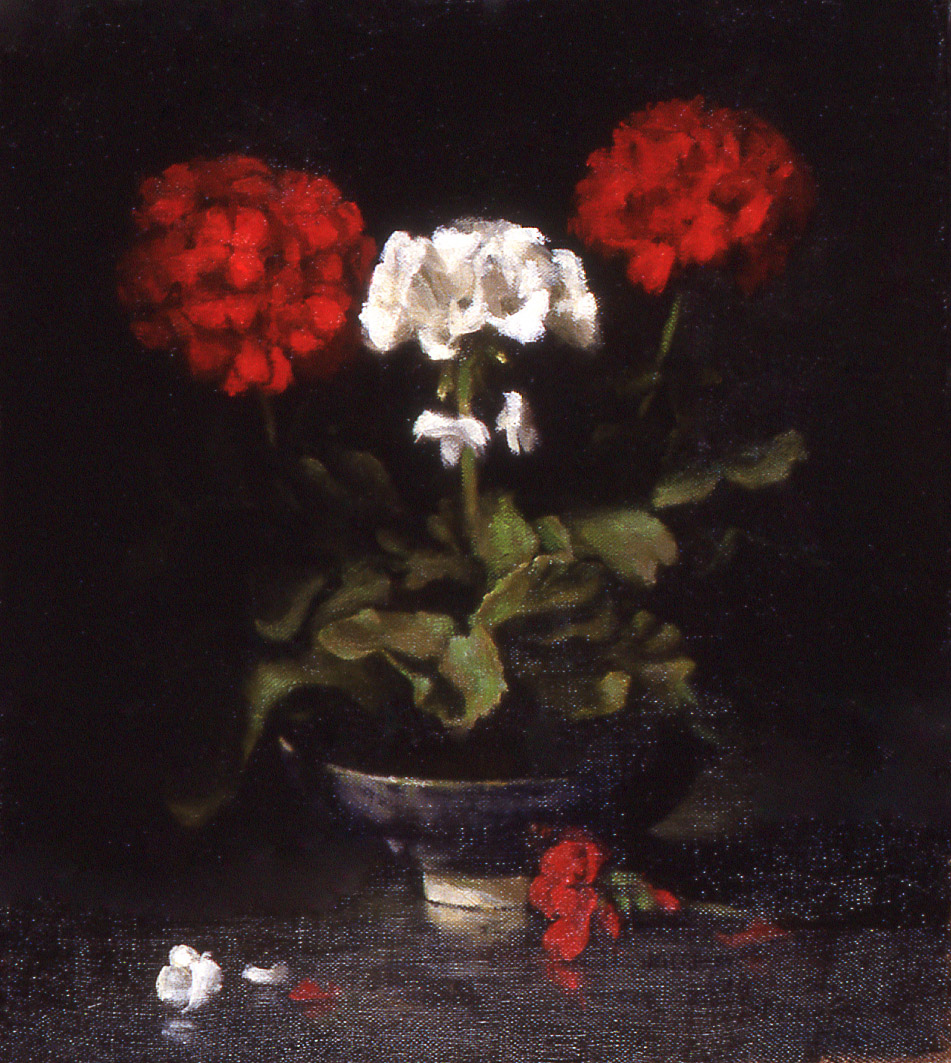 geraniums: oil on linen 14" x 16" (sold)