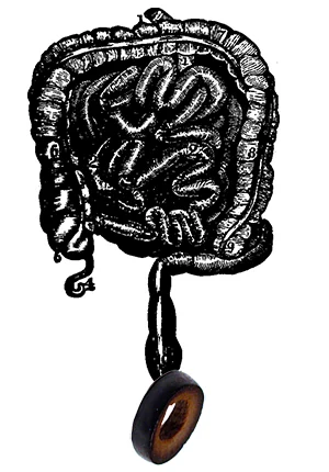 APpendix.jpg