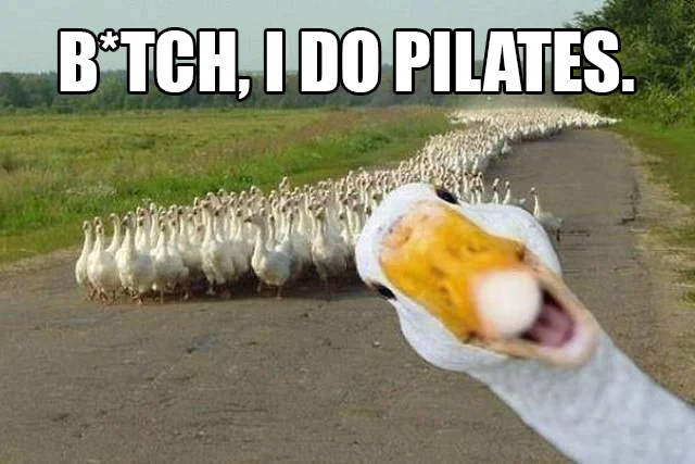 duck copy.jpg