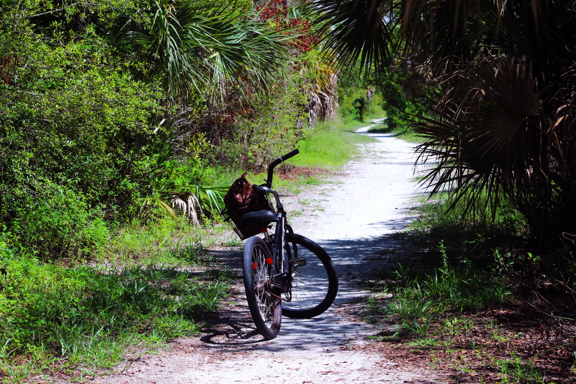 florida-vacation-edit-53.jpg
