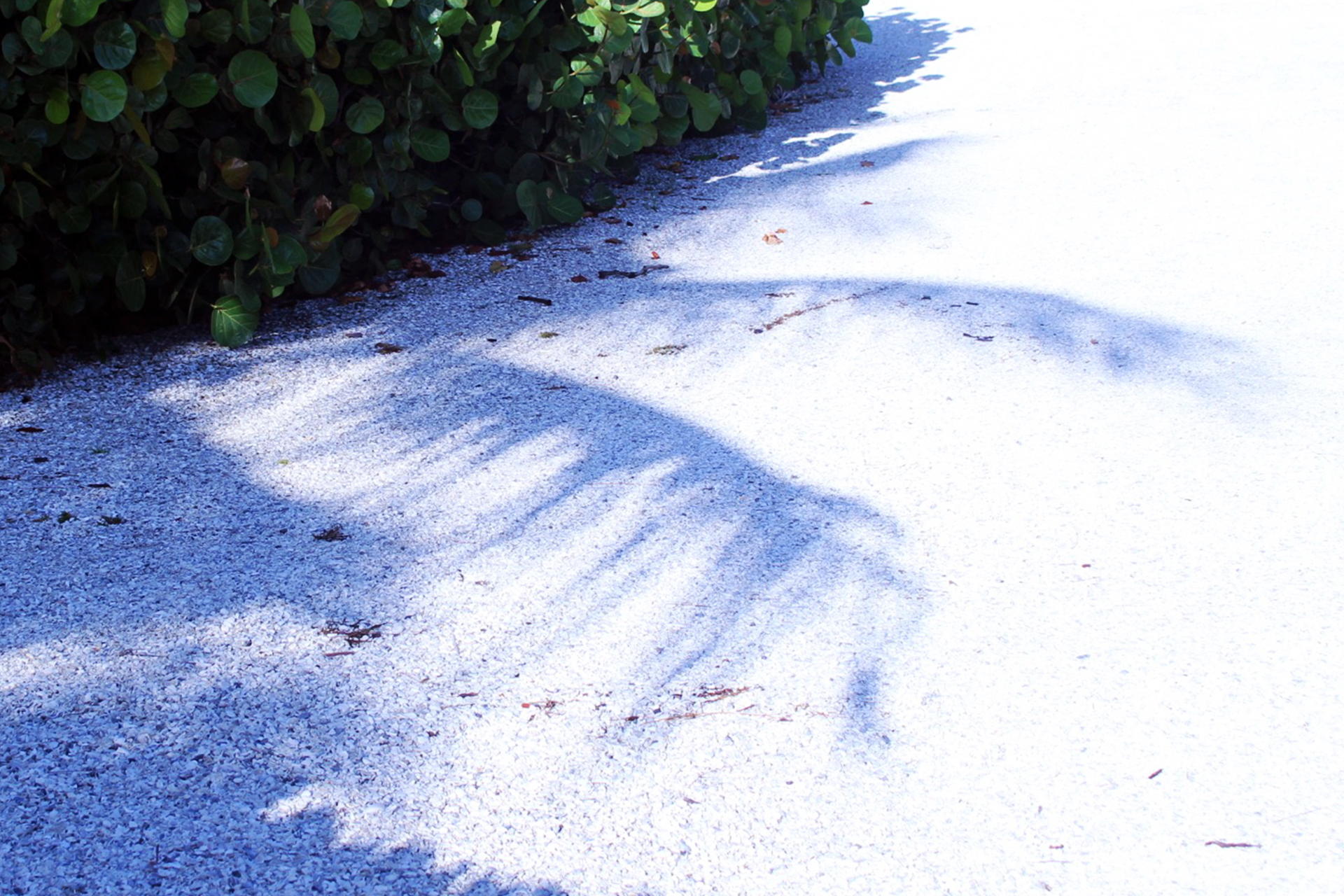 florida-vacation-edit-9.jpg
