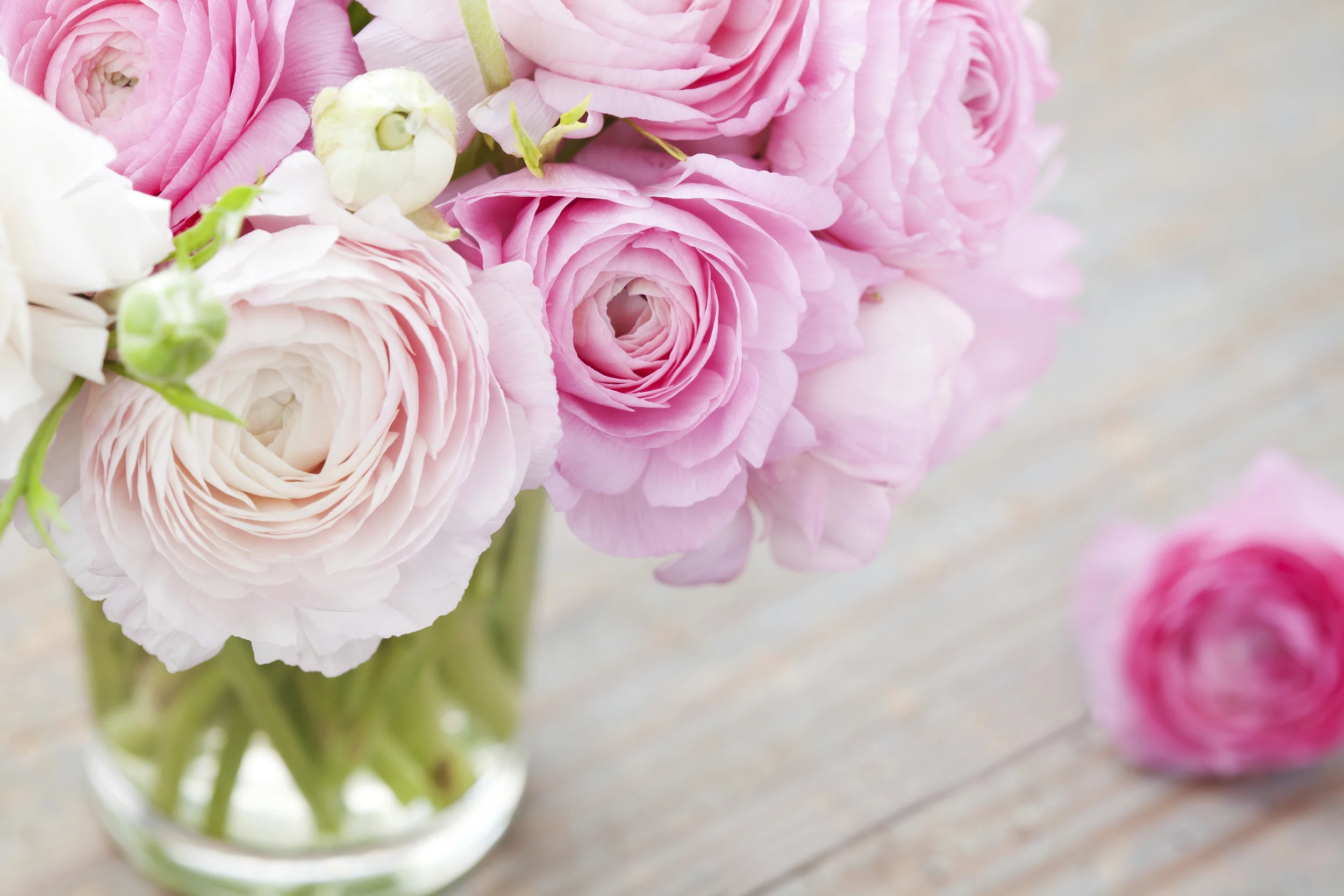 Floral_Image.jpg
