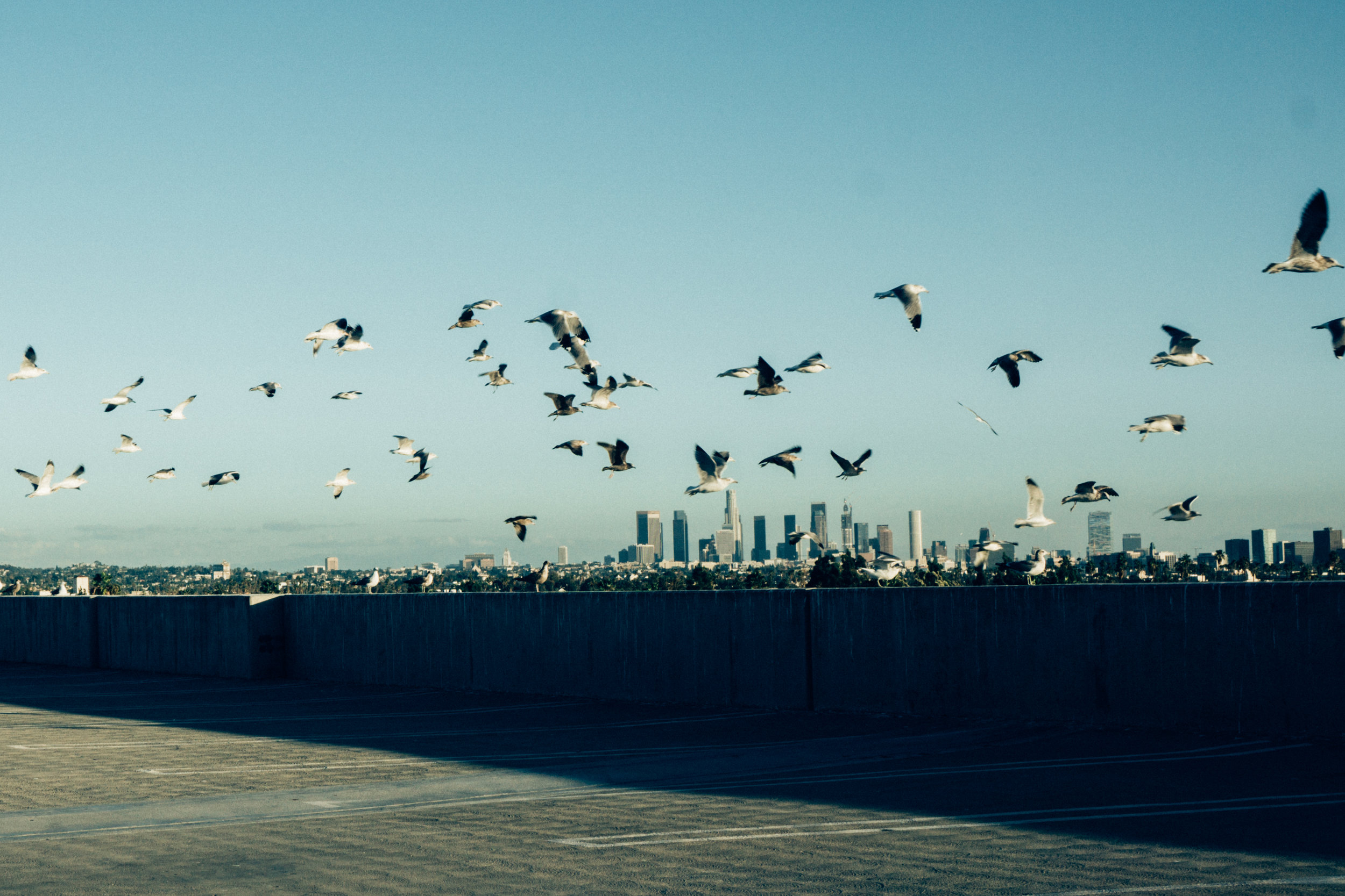 lauren-04441 copy.jpg