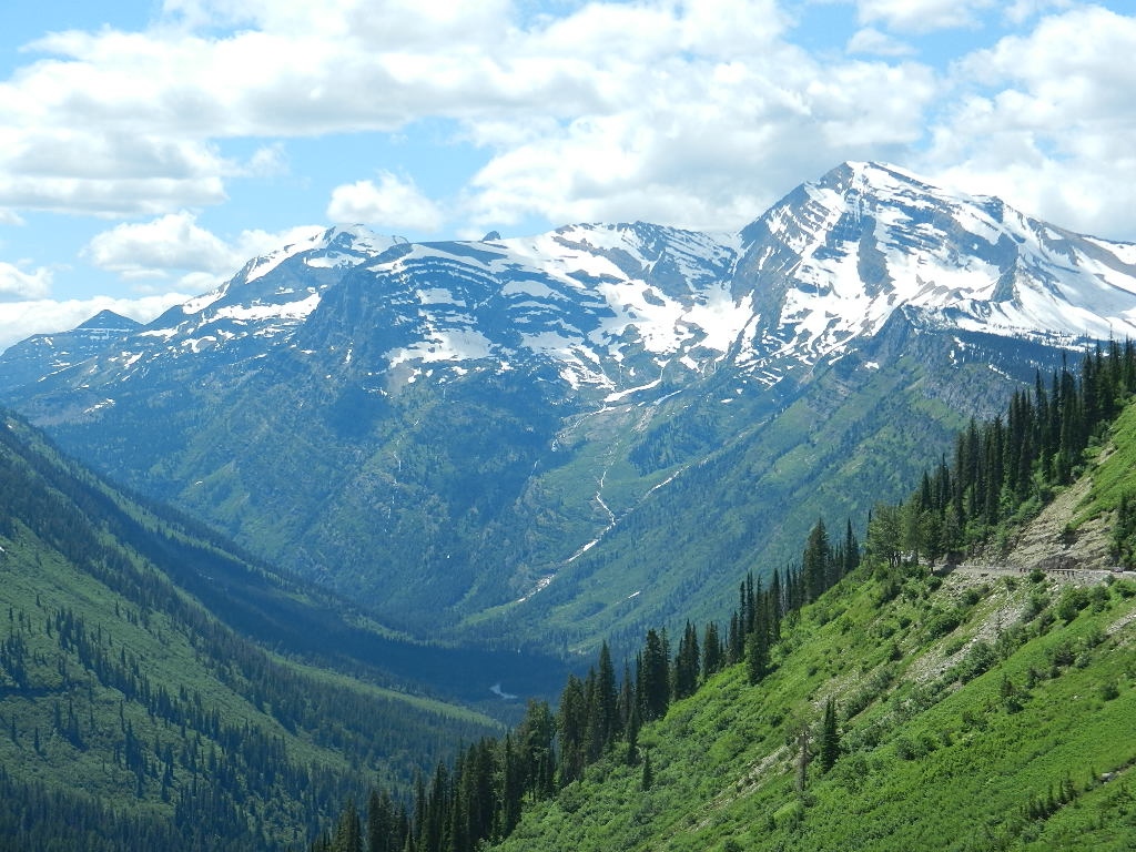 DSCN3532.jpg