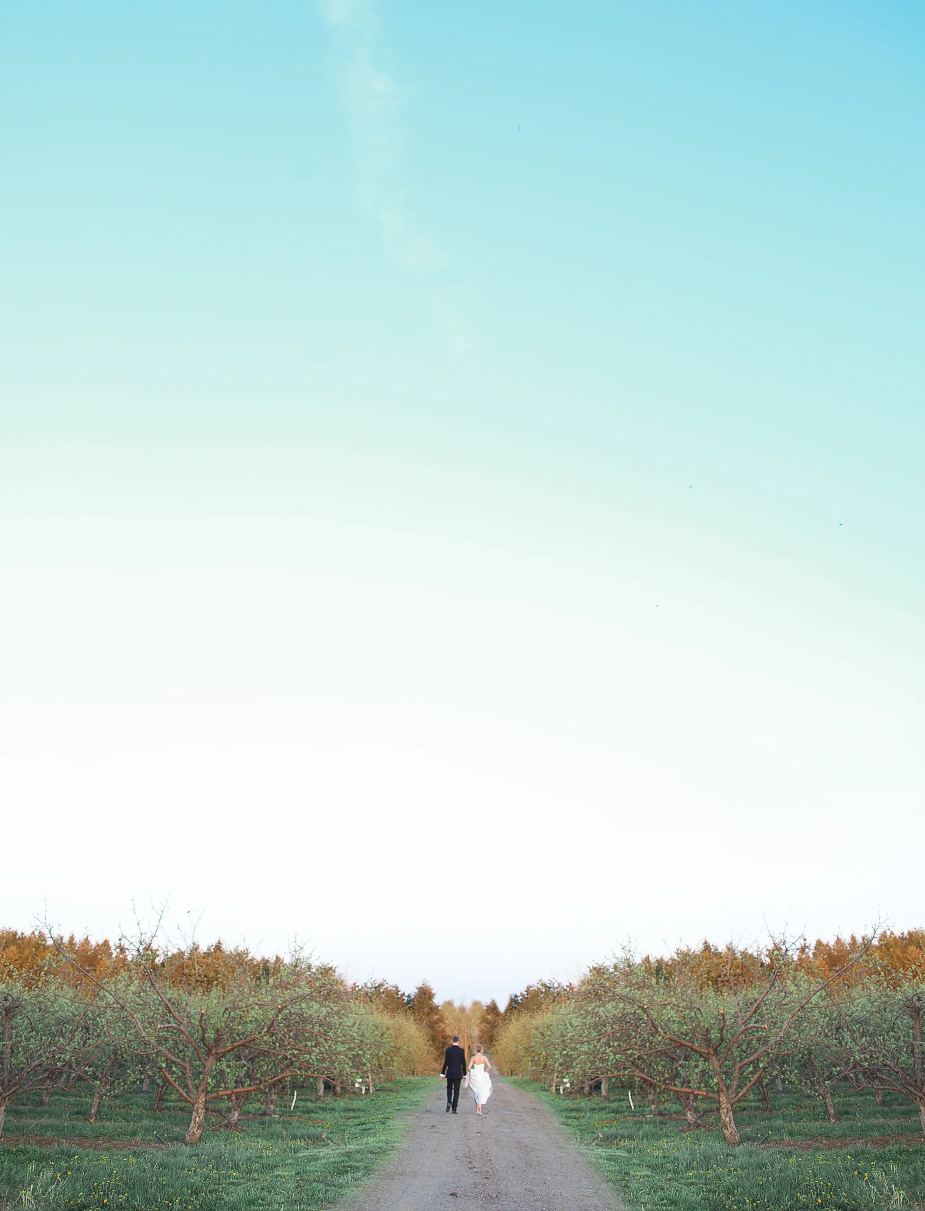 eIMG_8137-Edit2-2.jpg