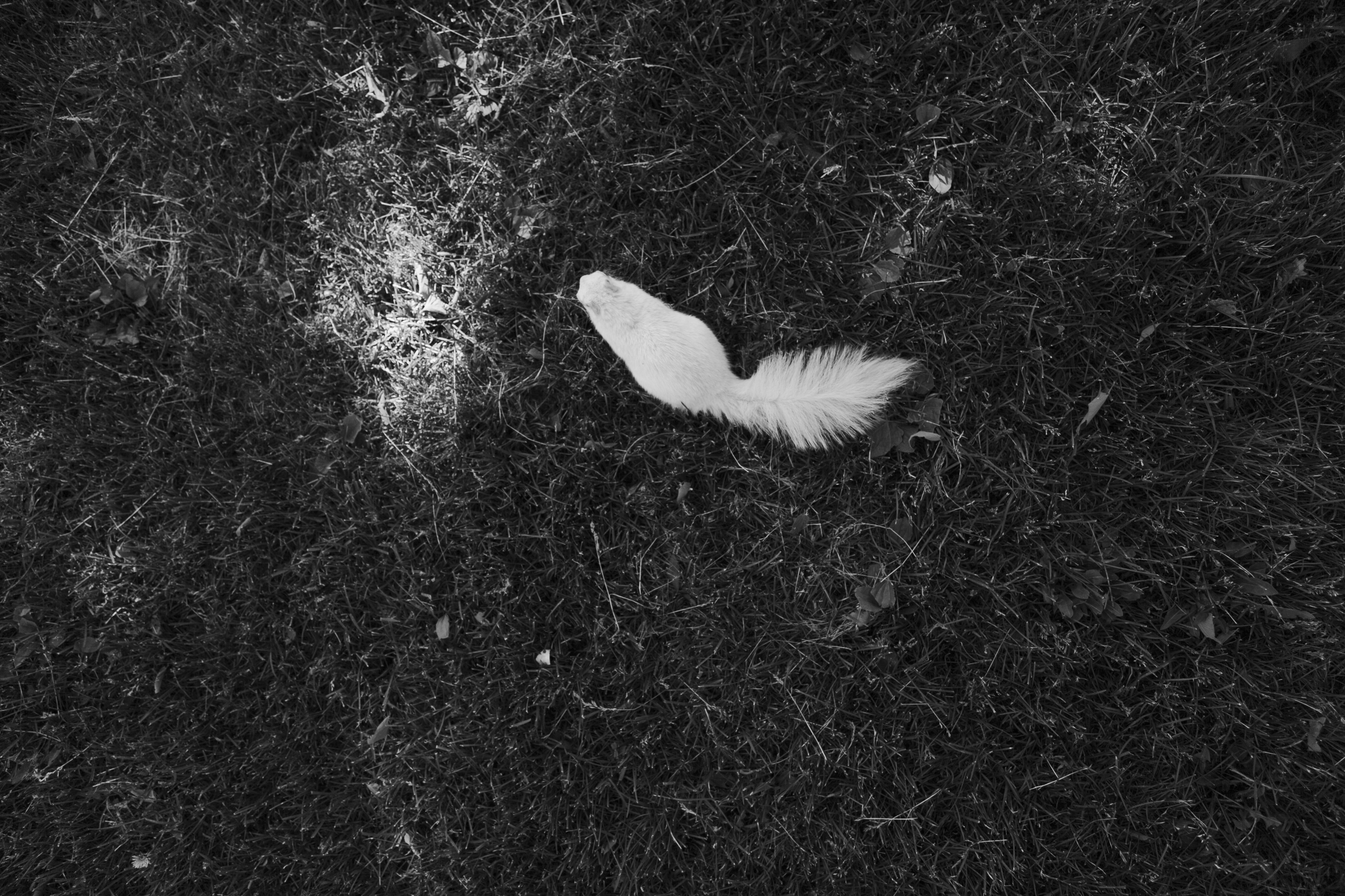 Minneapolis Roadtrip 