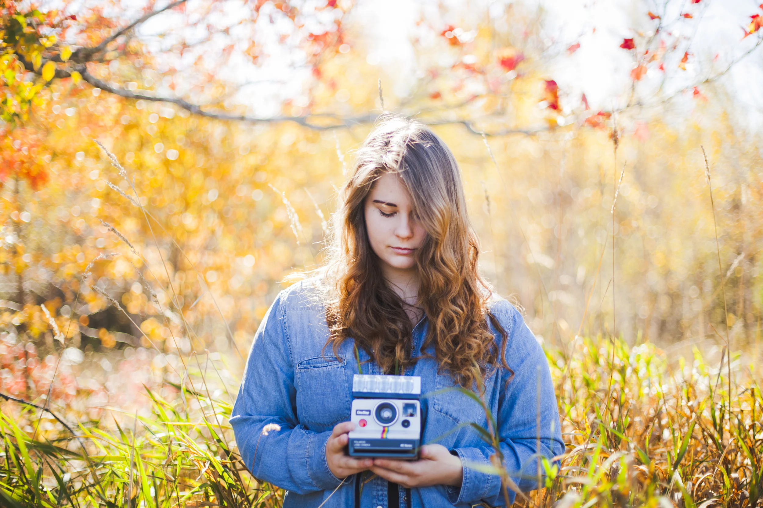 Olivia: Dollar Bay High School