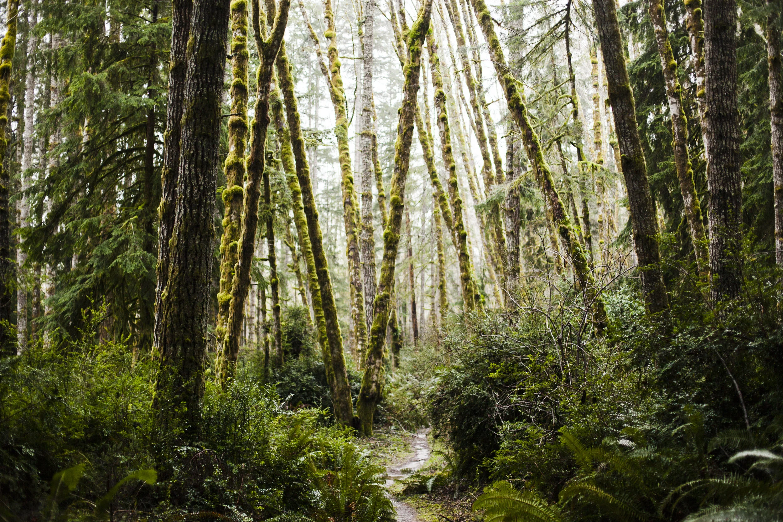 When the Wind Sings | Neah Bay Adventure