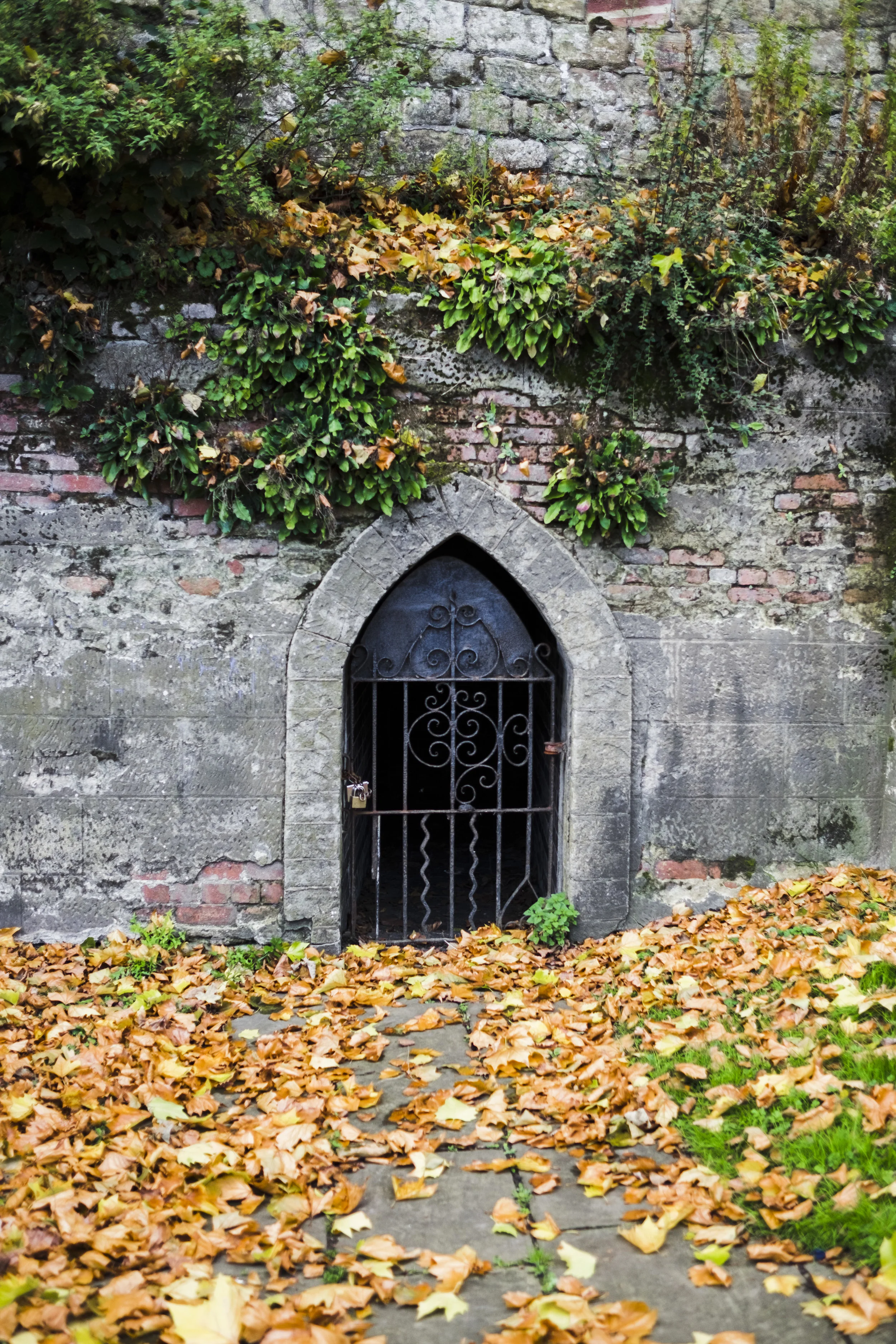 england.119.JPG