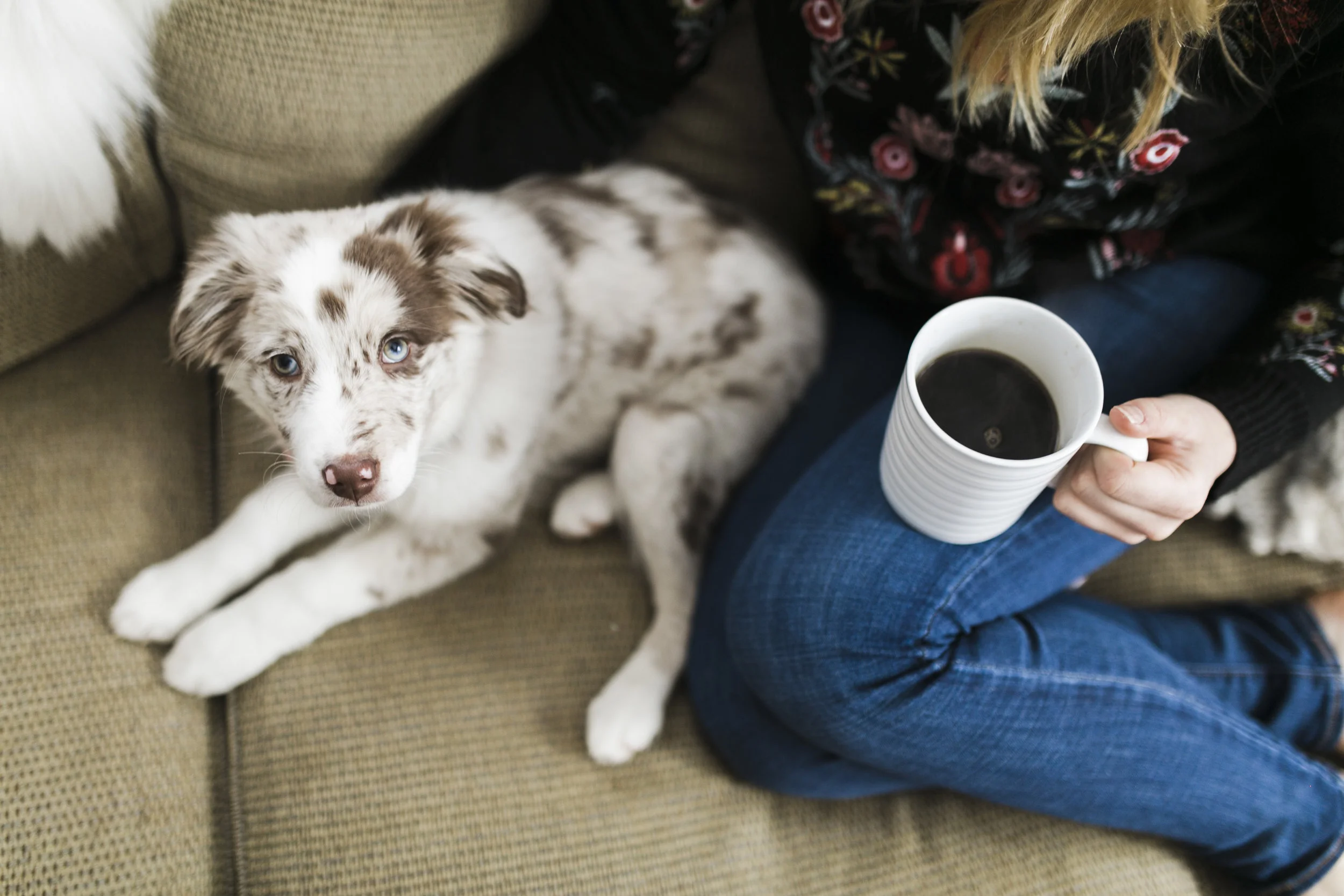 Jessica + Smith | Puppy Love