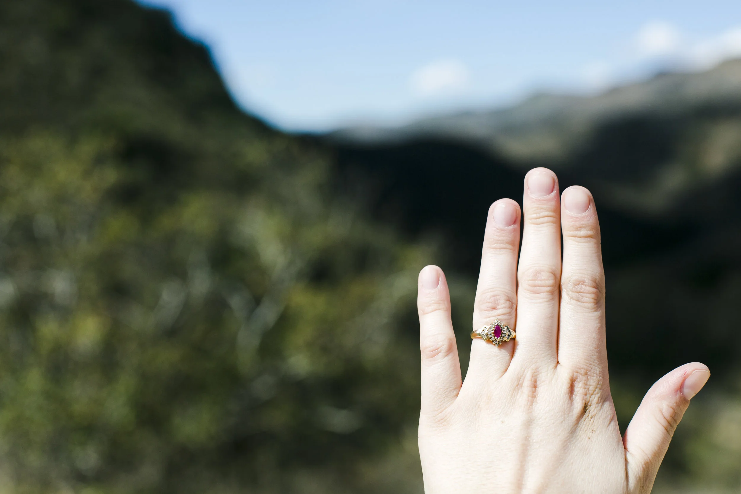 The California Adventure | Our Proposal Story