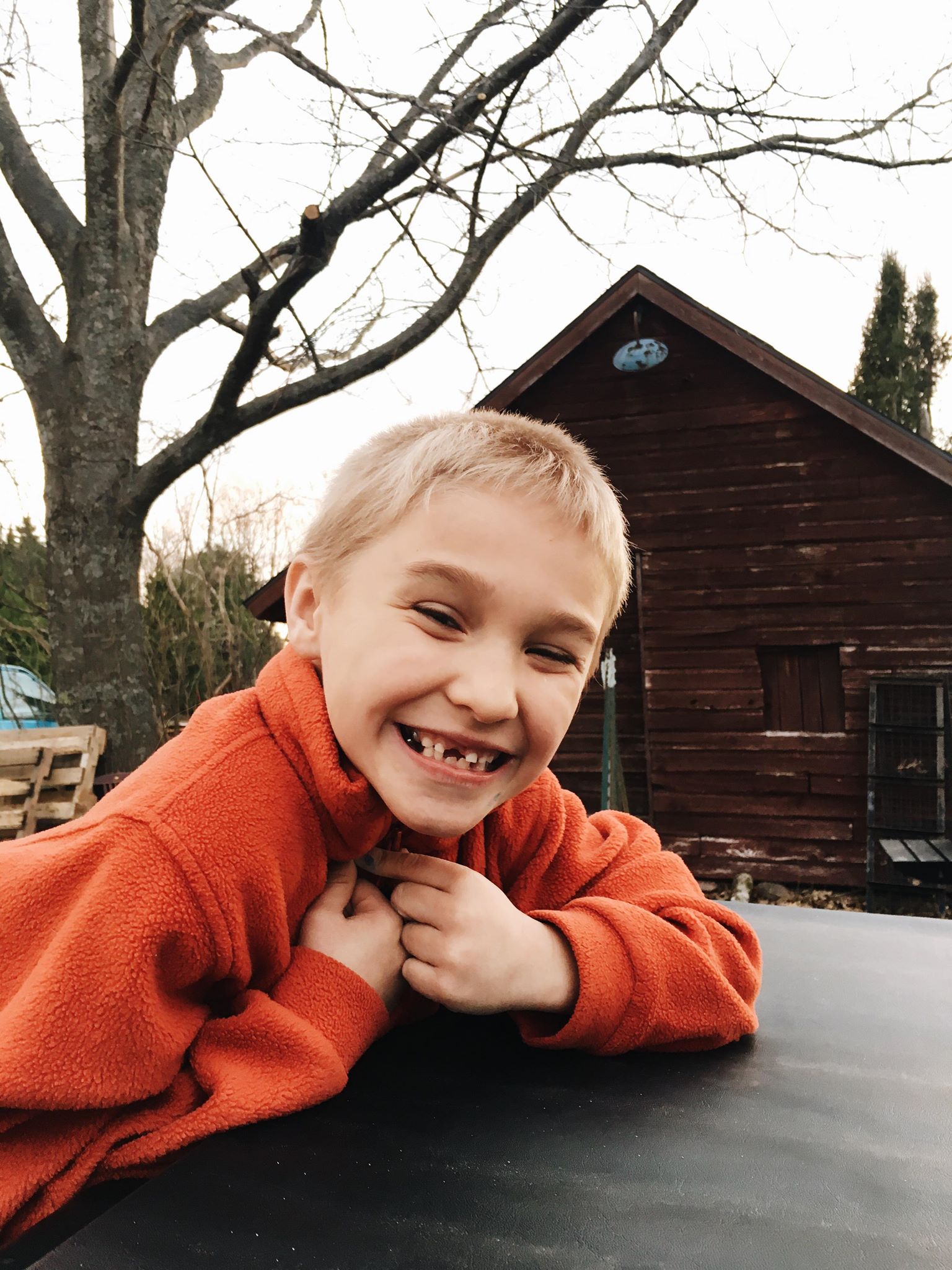 Toothless wonder.
