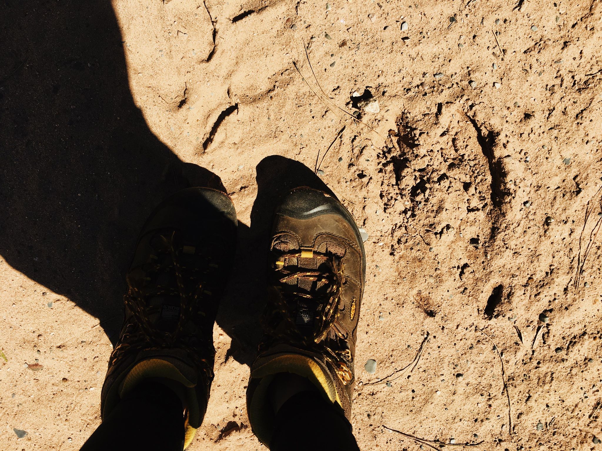 Moose tracks on my 25th birthday.