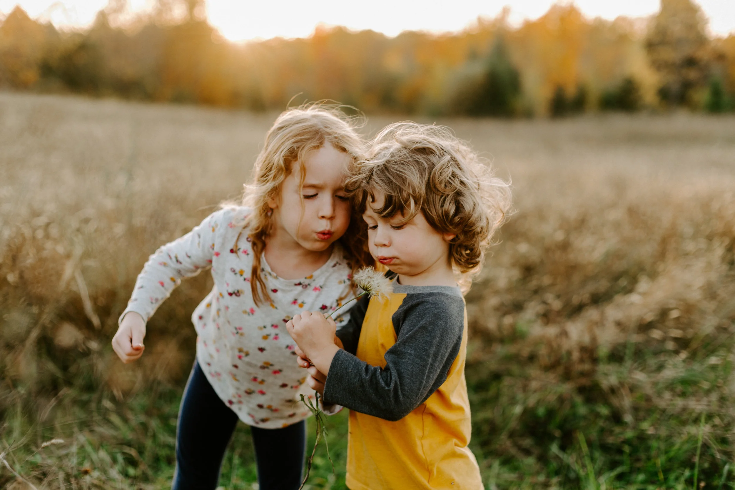 The Johnson Family | Fall Harvest Lifestyle Session