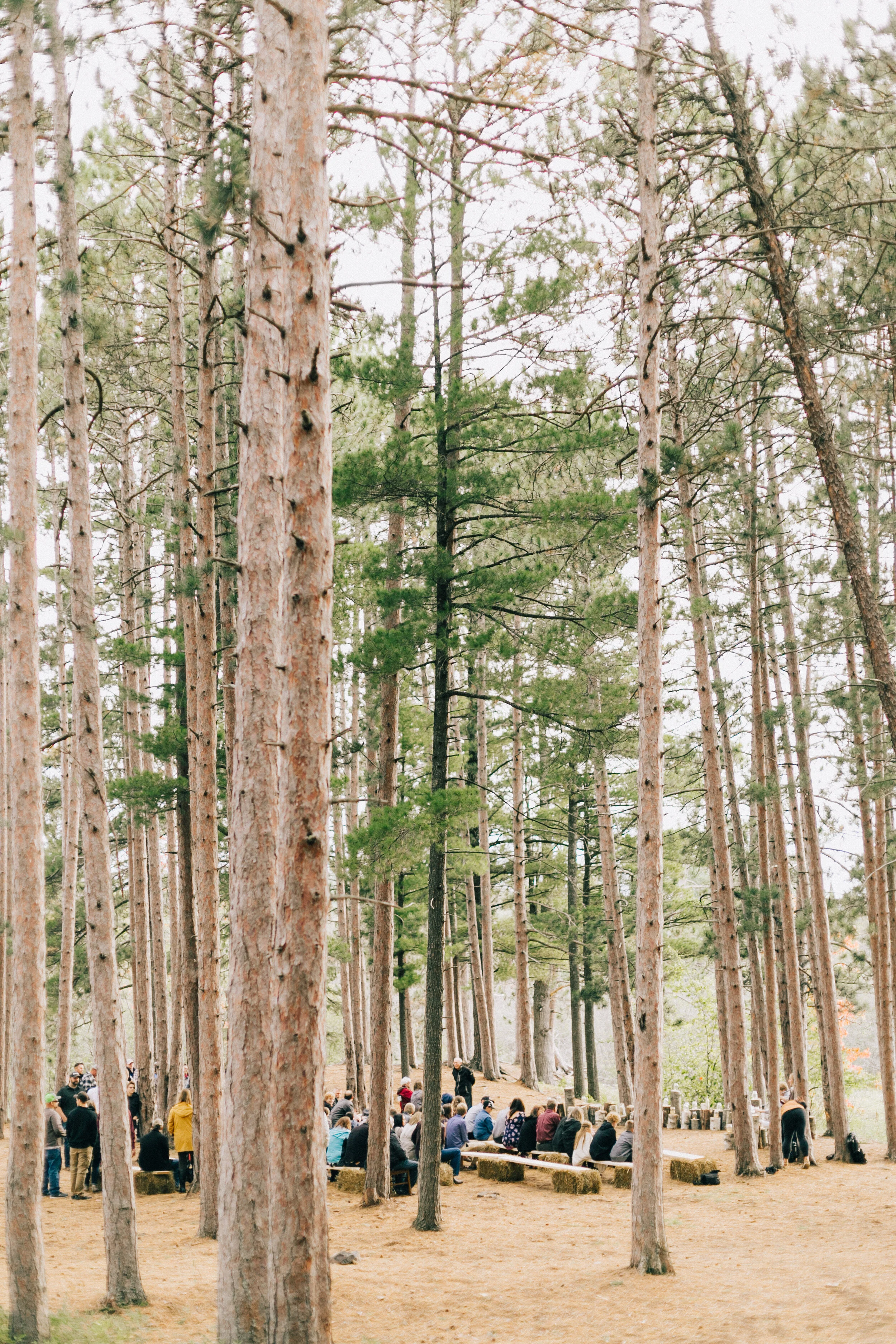 emmadustinweddingday-614.jpg