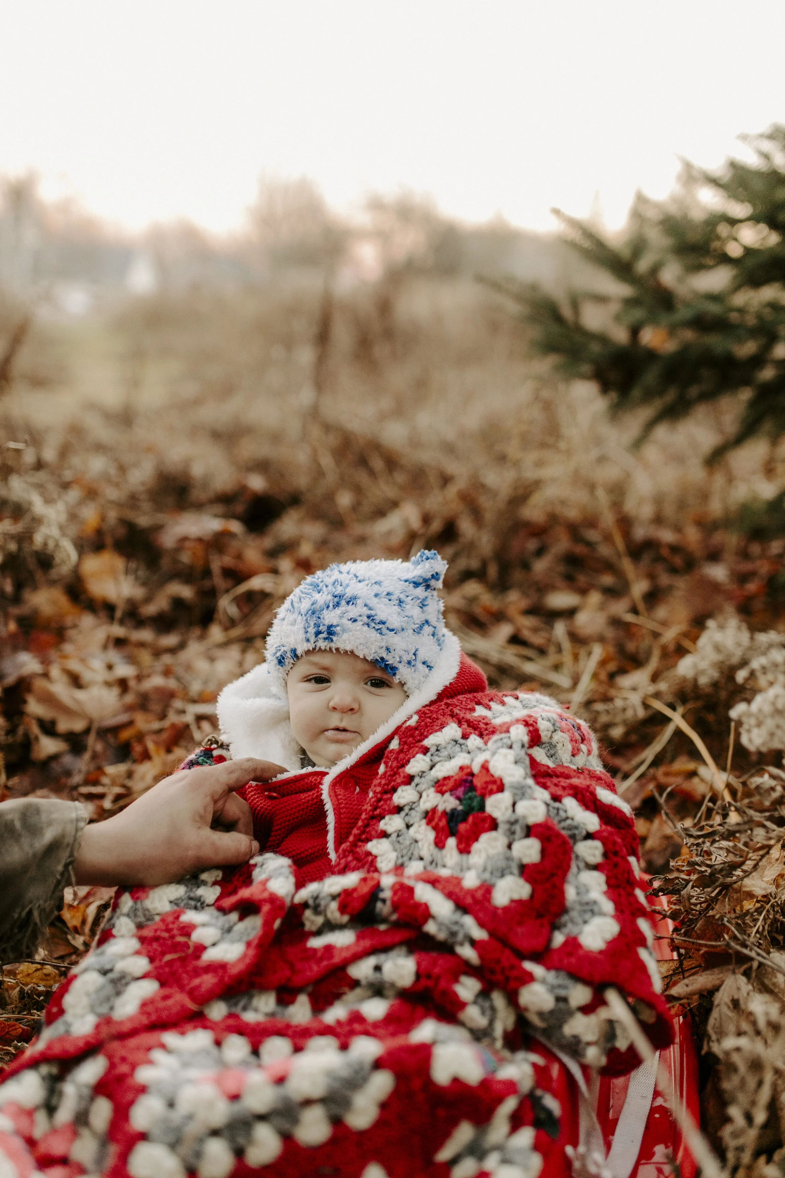 christmas.4730.JPG