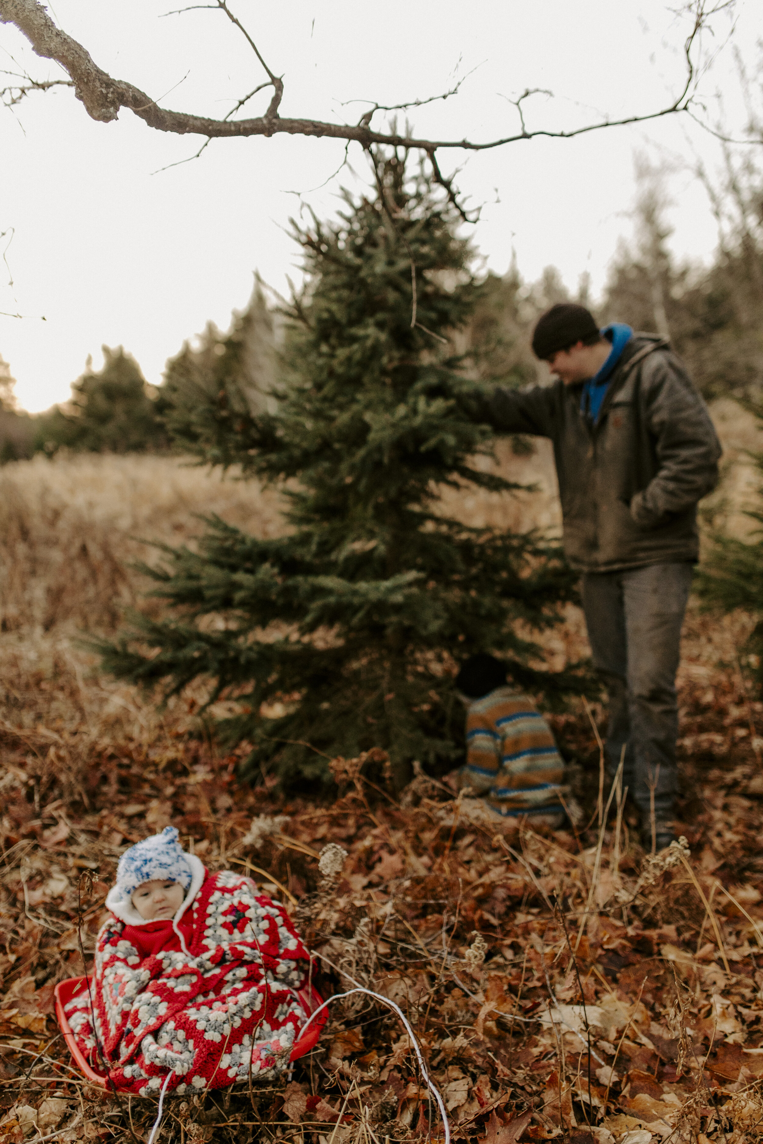 christmas.4735.JPG