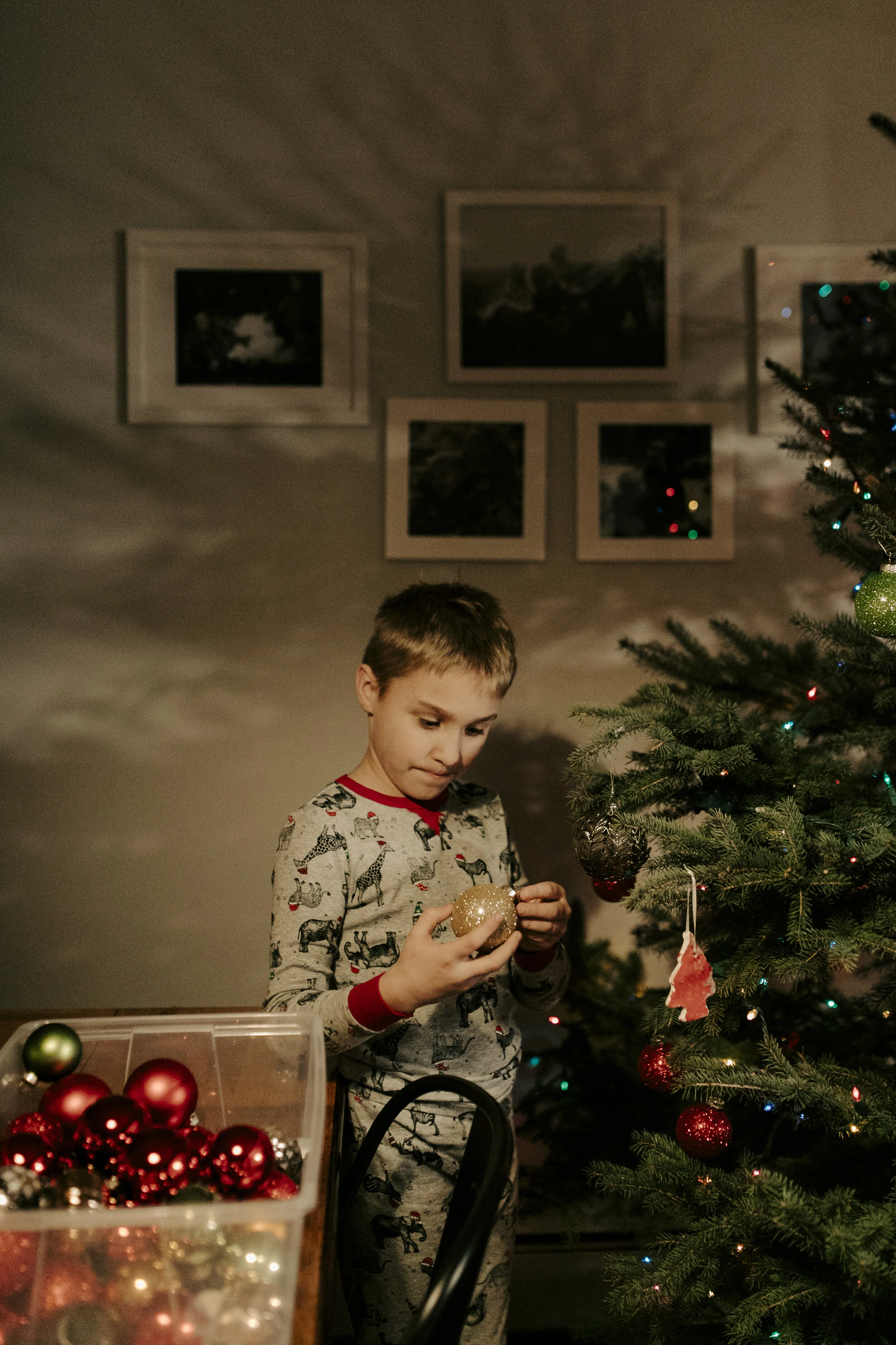 christmas.4778.JPG