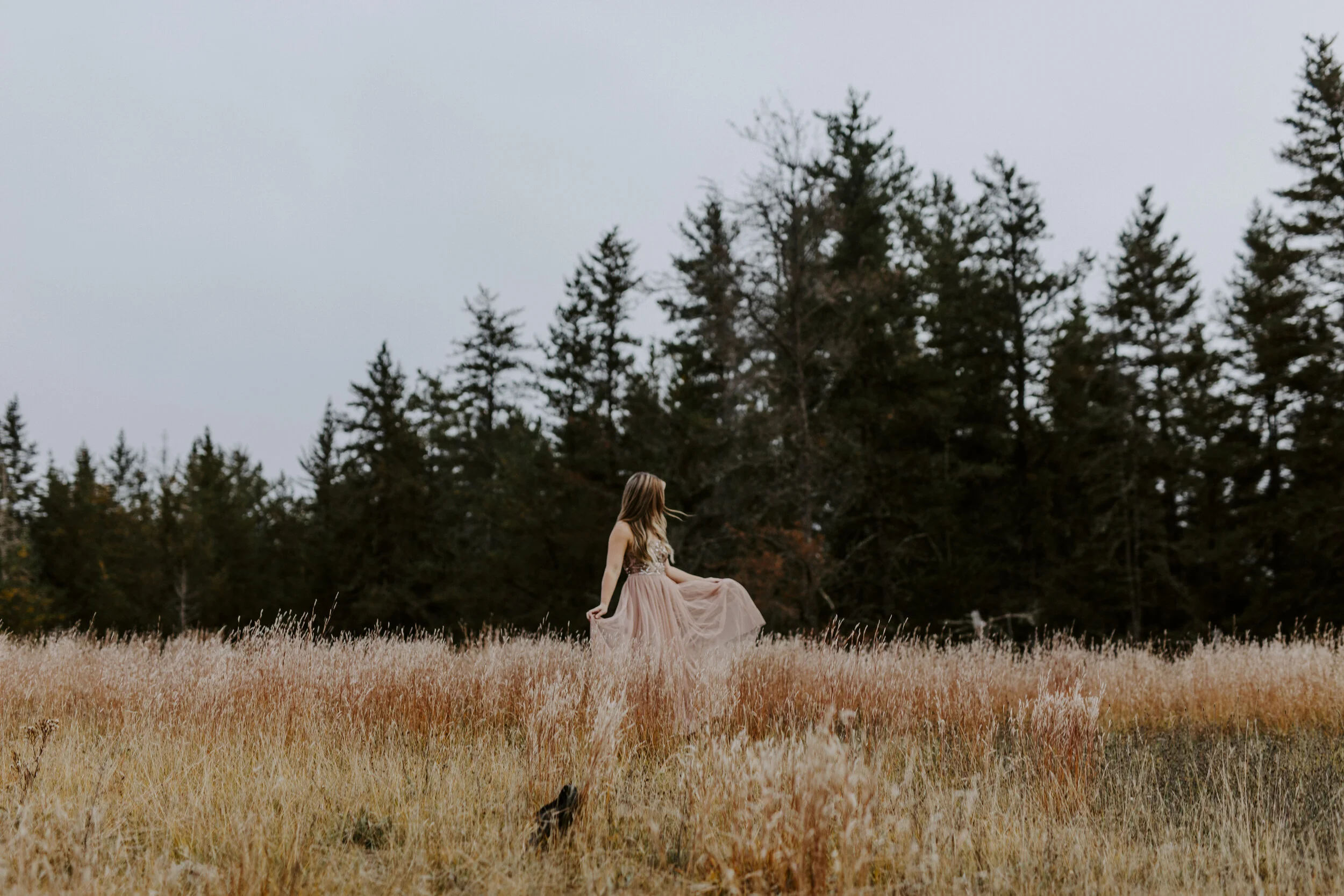 The Wind Shifts By Itself | Allison