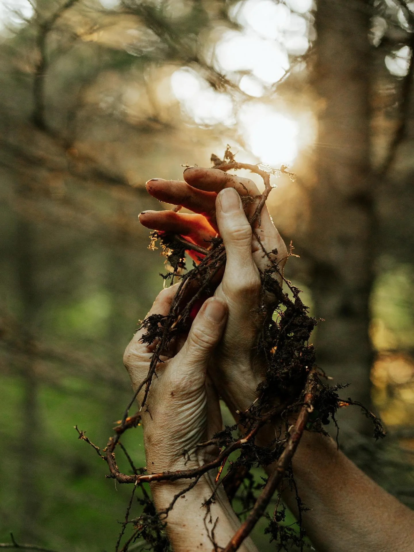 My mom called me a weirdo while making this, buuuuut I&rsquo;ve been sitting ideas for a while to document the maker and the material. As some of you may know, my mom @barks.n.roots is a professional basket weaver and has taught and traveled internat