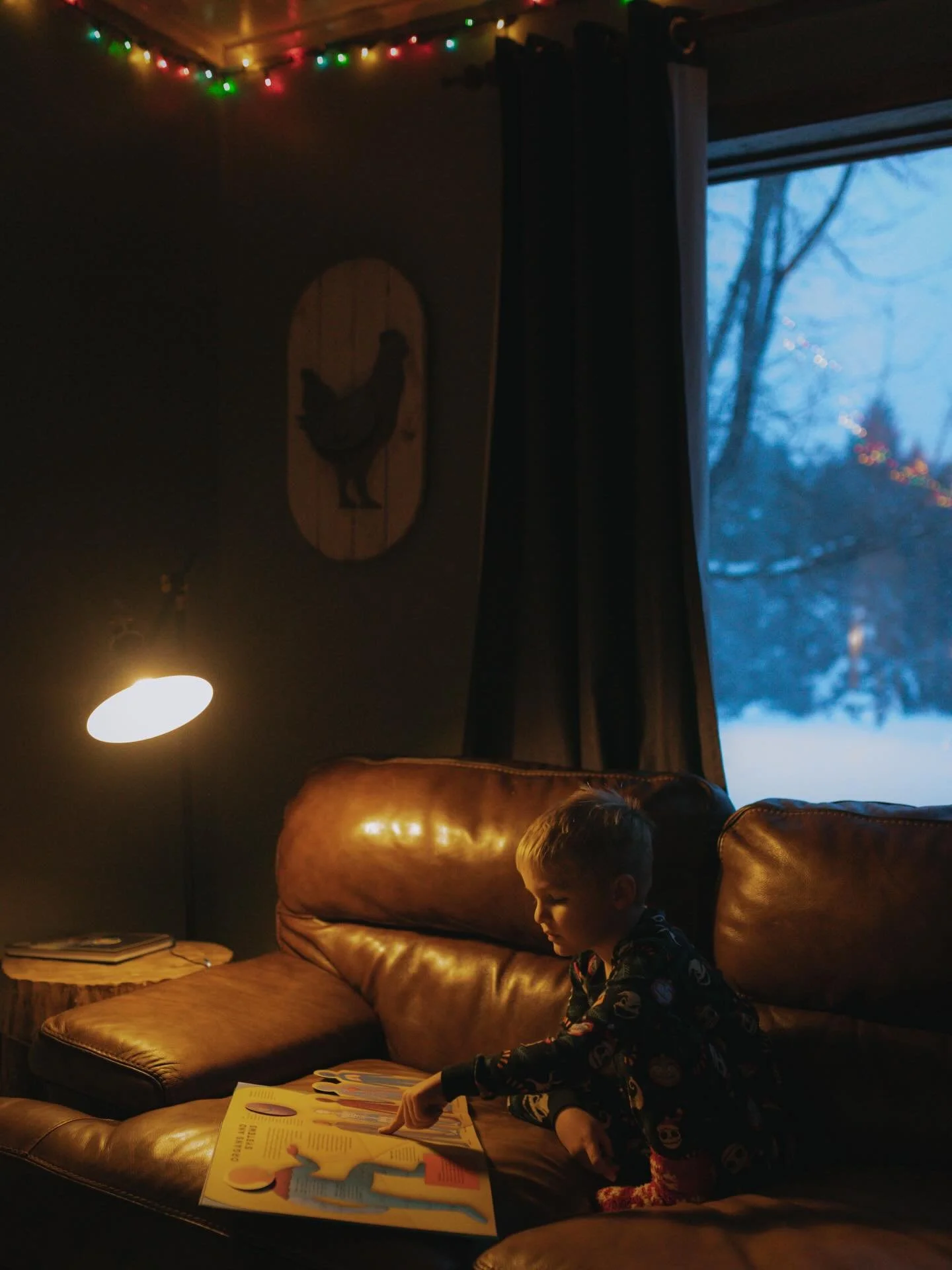 Cozy nights in Christmas jammies 🫶🏼 They&rsquo;d rather read about human anatomy, trucks and Halloween at the moment though 😆