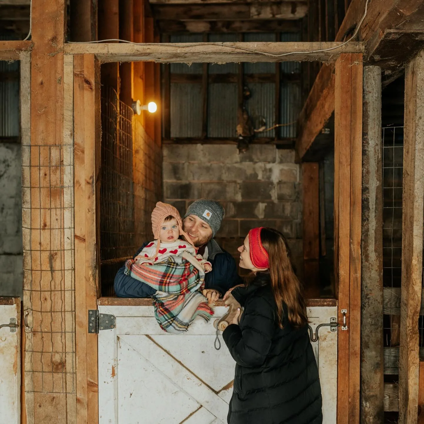 The sweetest winter family session at the stables + in the farmhouse the family is renovating to become their forever home 🫶🏼