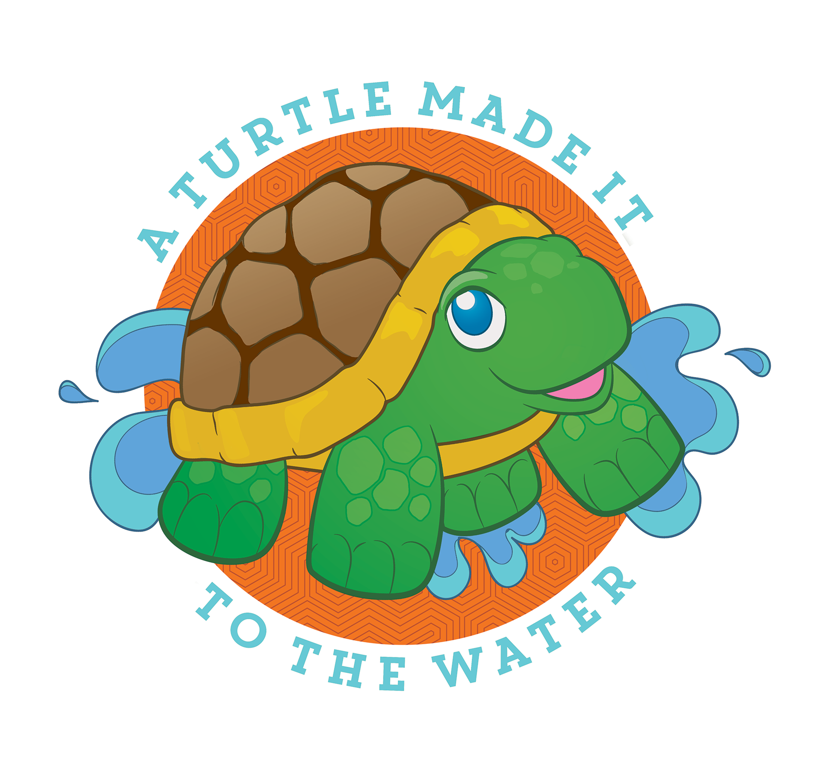 Turtle_image.png