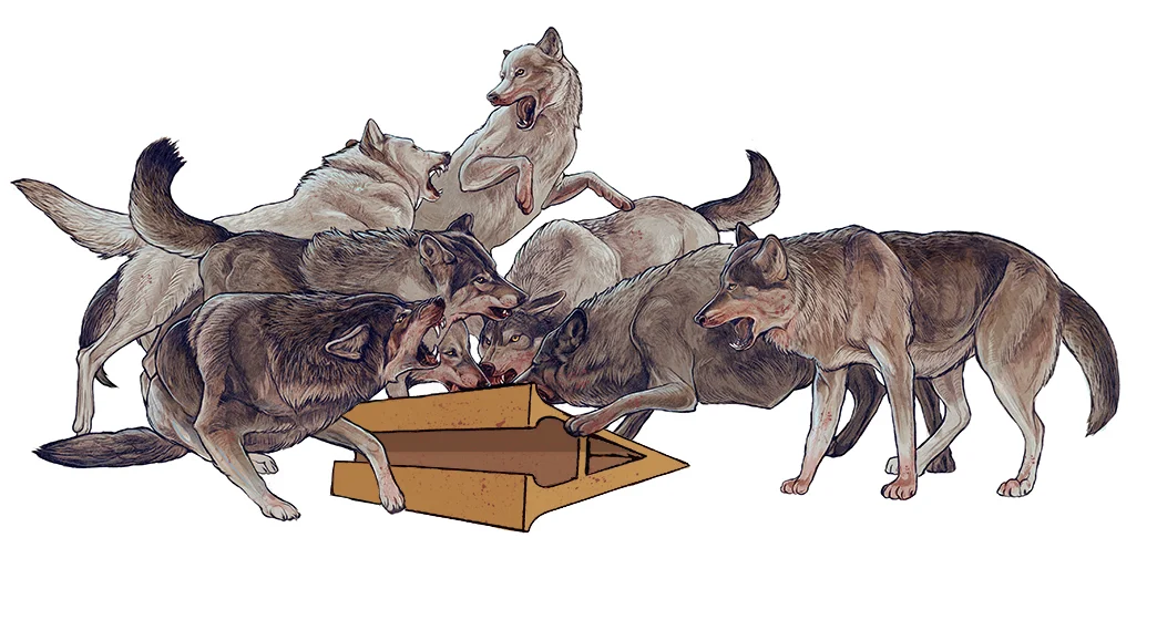 wolvescover.jpg