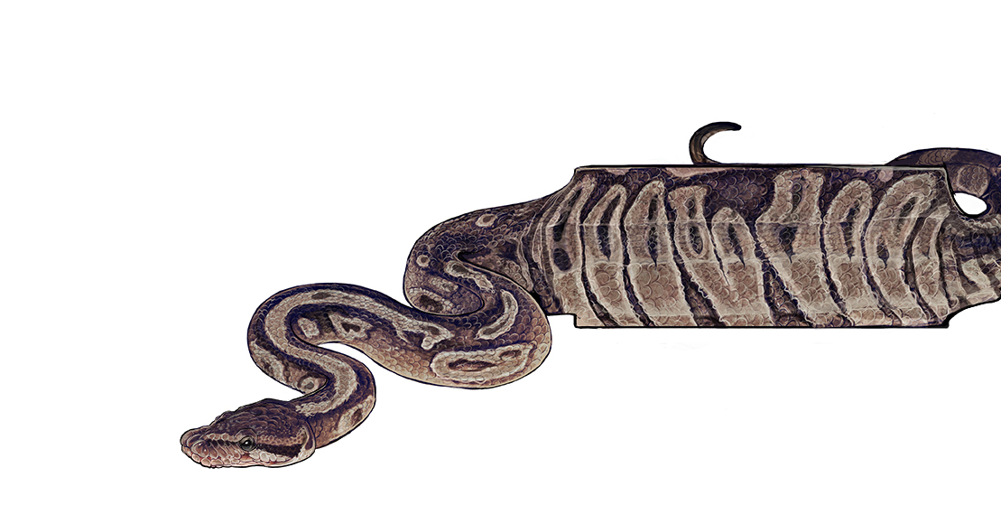 snake-1.jpg