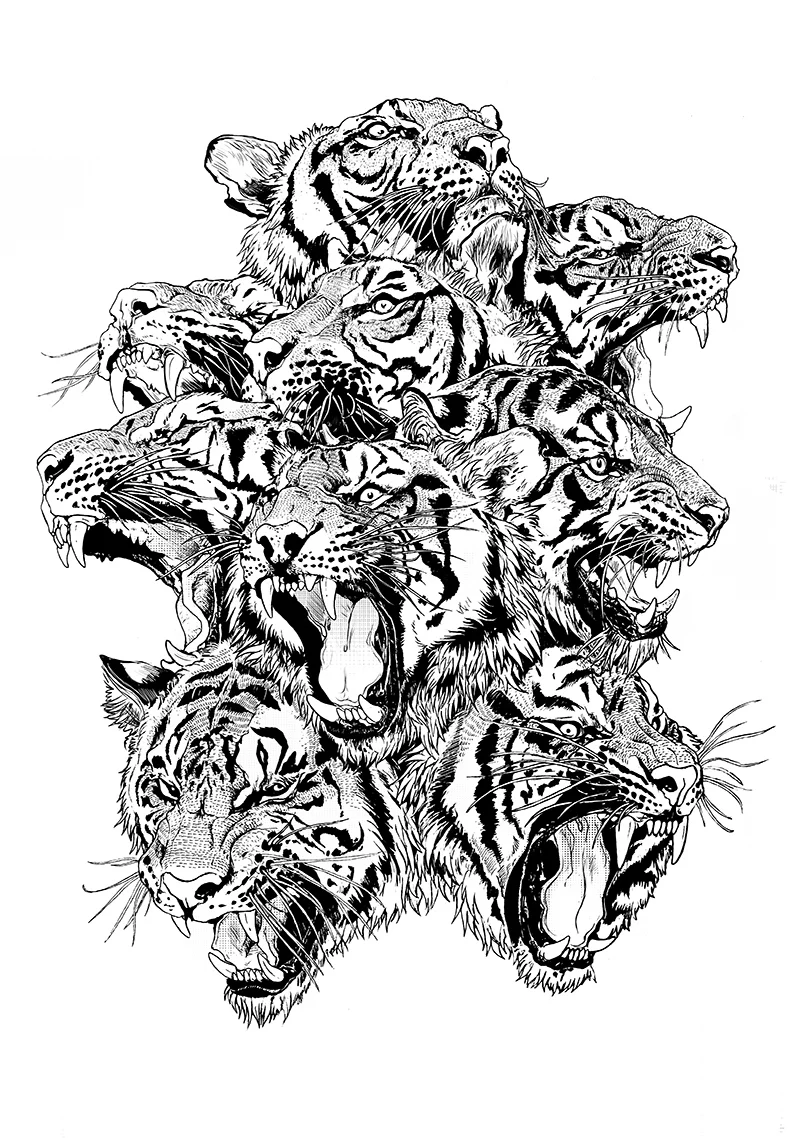 tiger-final.jpg
