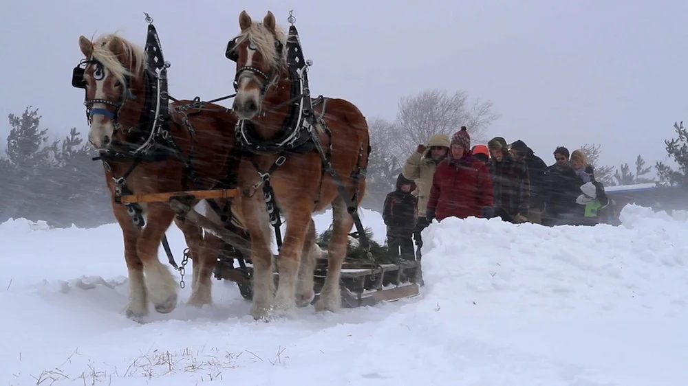 11 AWFW snowy procession web.jpg