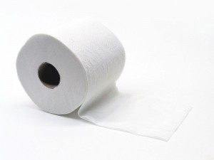 800px-Toiletpapier_Gobran111-300x225.jpg