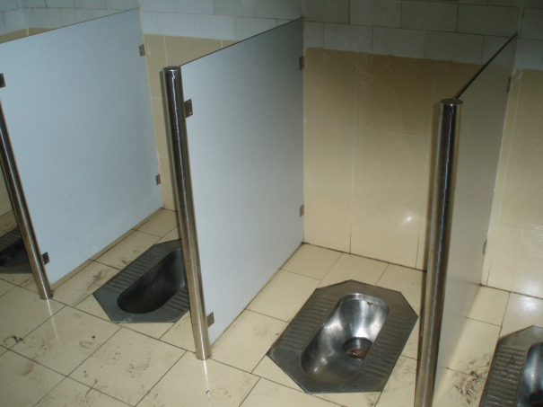 http://www.dailyedge.ie/no-flies-on-them-chinese-city-bans-flies-from-public-toilets-466341-May2012/